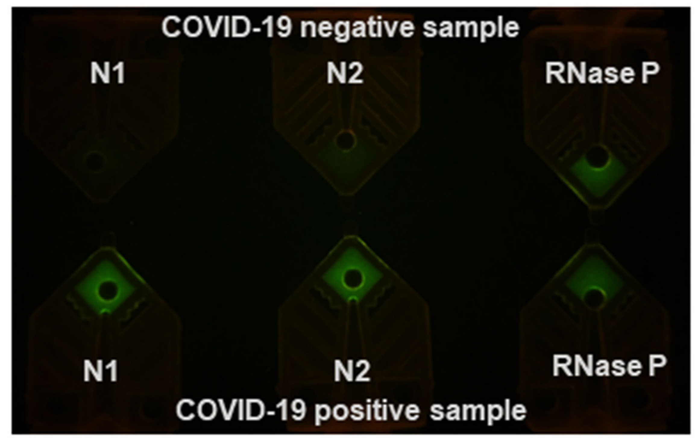 Diagnostics 10 00739 g003