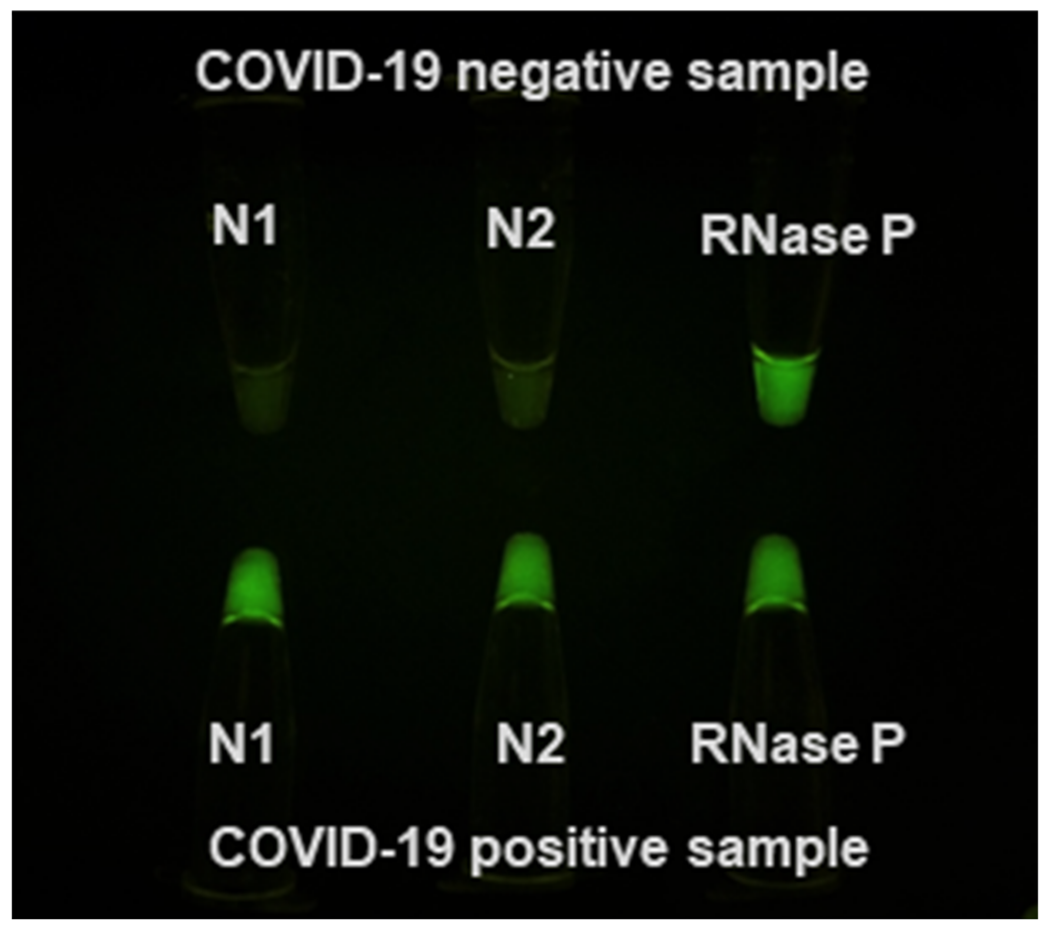 Diagnostics 10 00739 g004