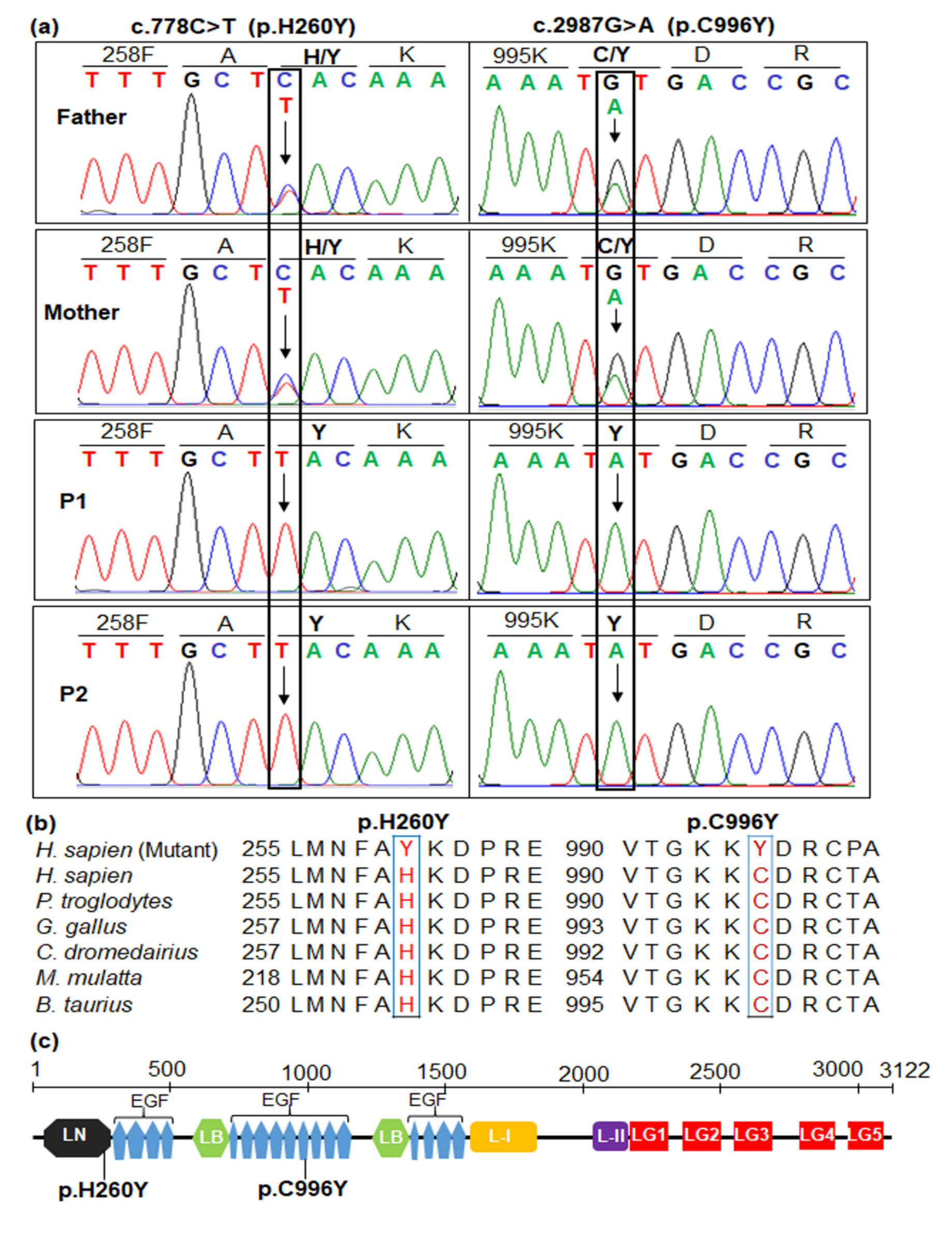 Diagnostics 10 00741 g002
