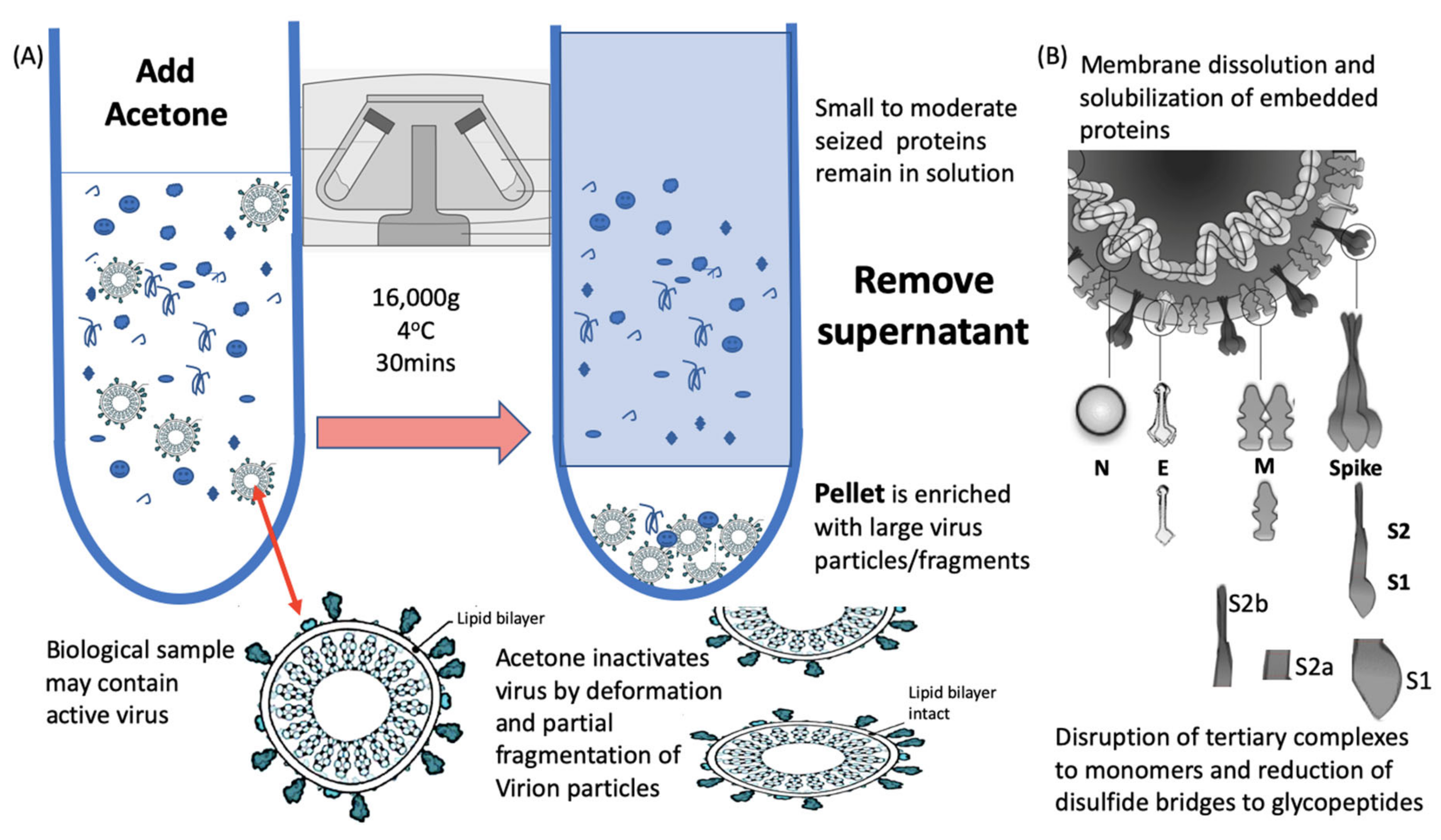 Diagnostics 10 00746 g002