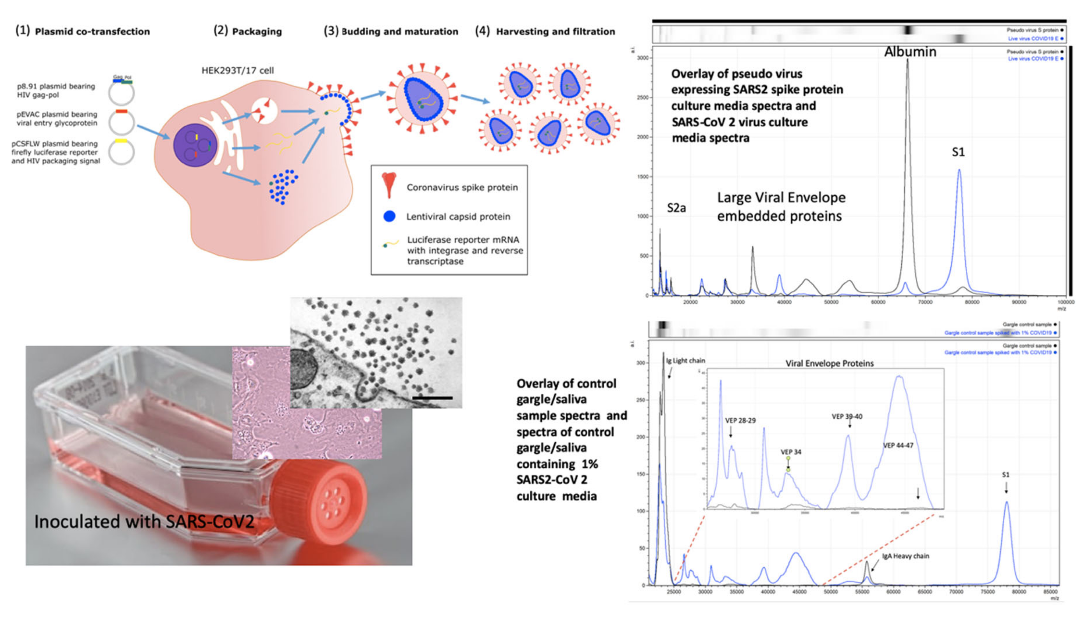 Diagnostics 10 00746 g003
