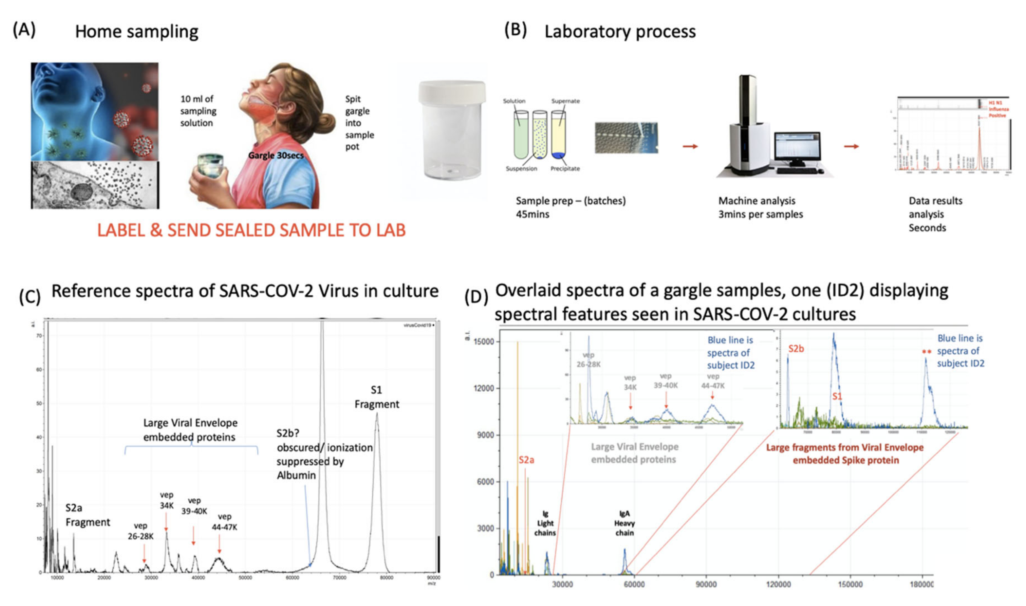 Diagnostics 10 00746 g004