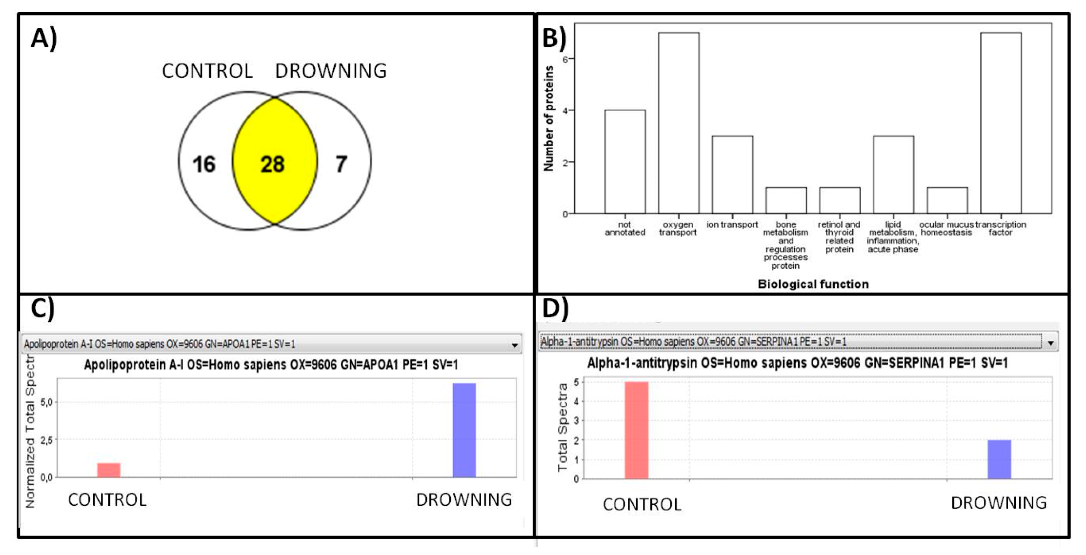 Diagnostics 10 00747 g001