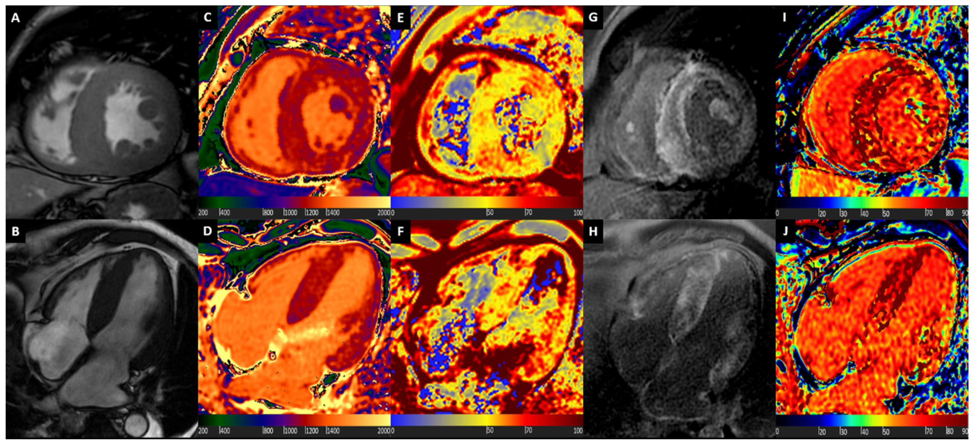Diagnostics 10 00770 g004 Diagnostics 10 00770 g004