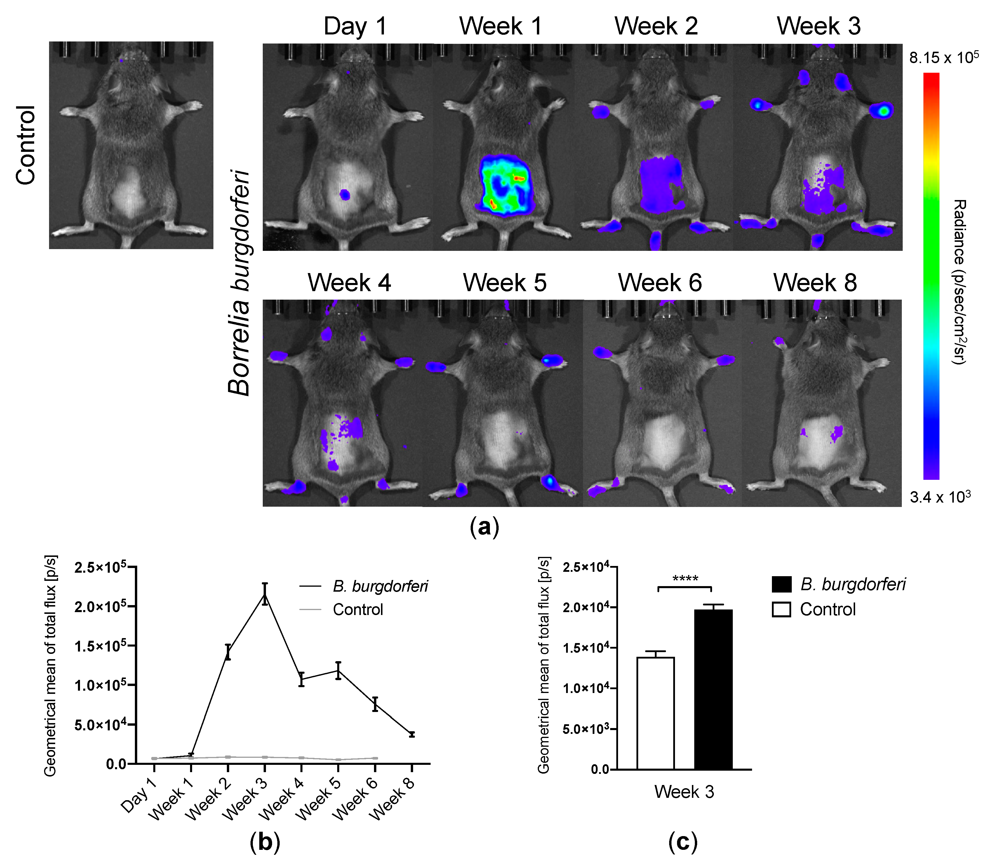 Diagnostics 10 00790 g001
