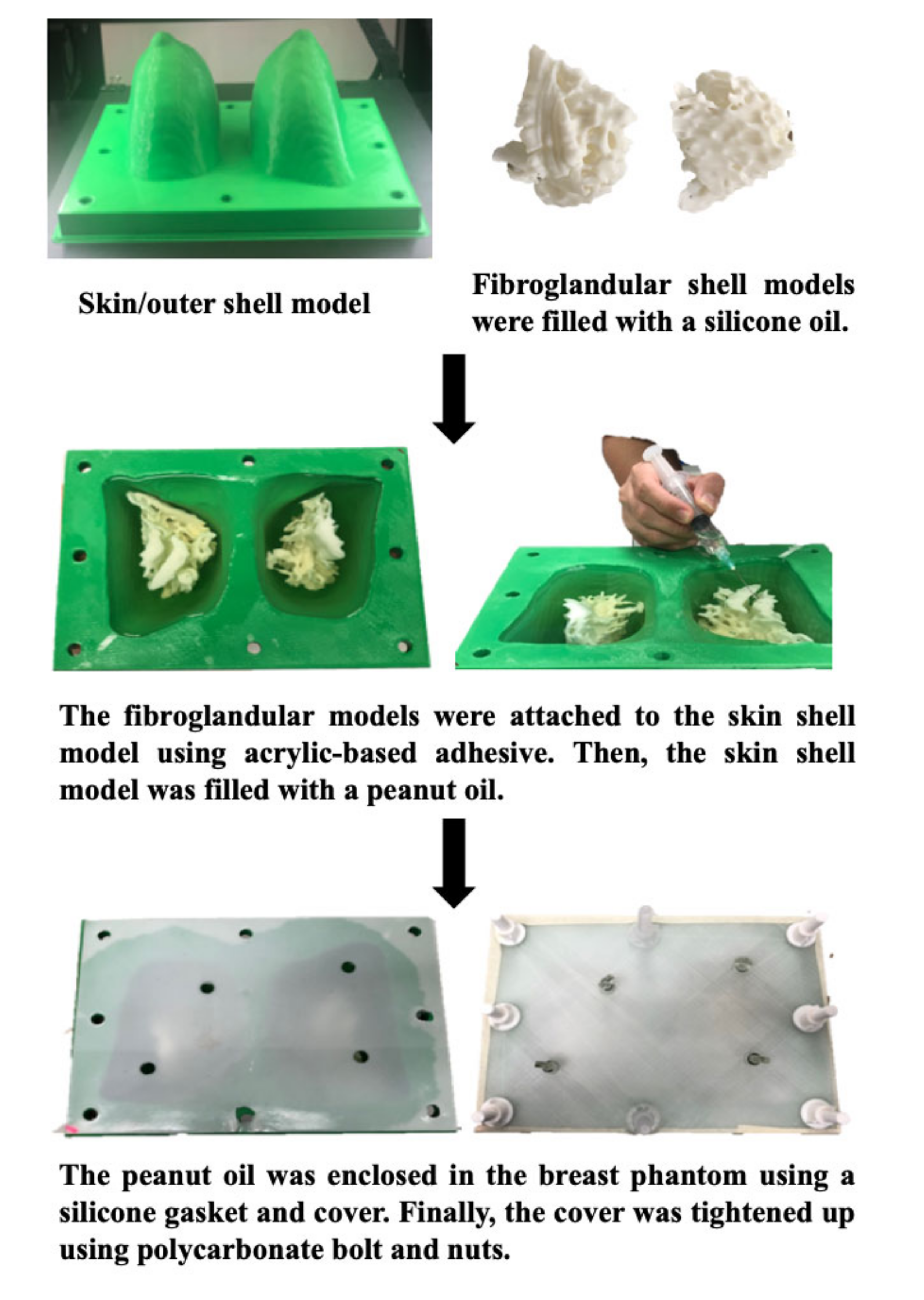 Diagnostics 10 00793 g001