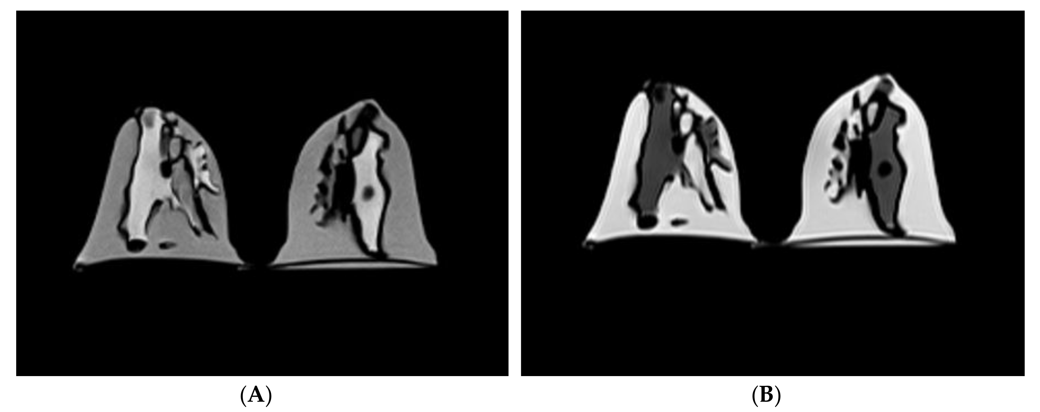 Diagnostics 10 00793 g002a