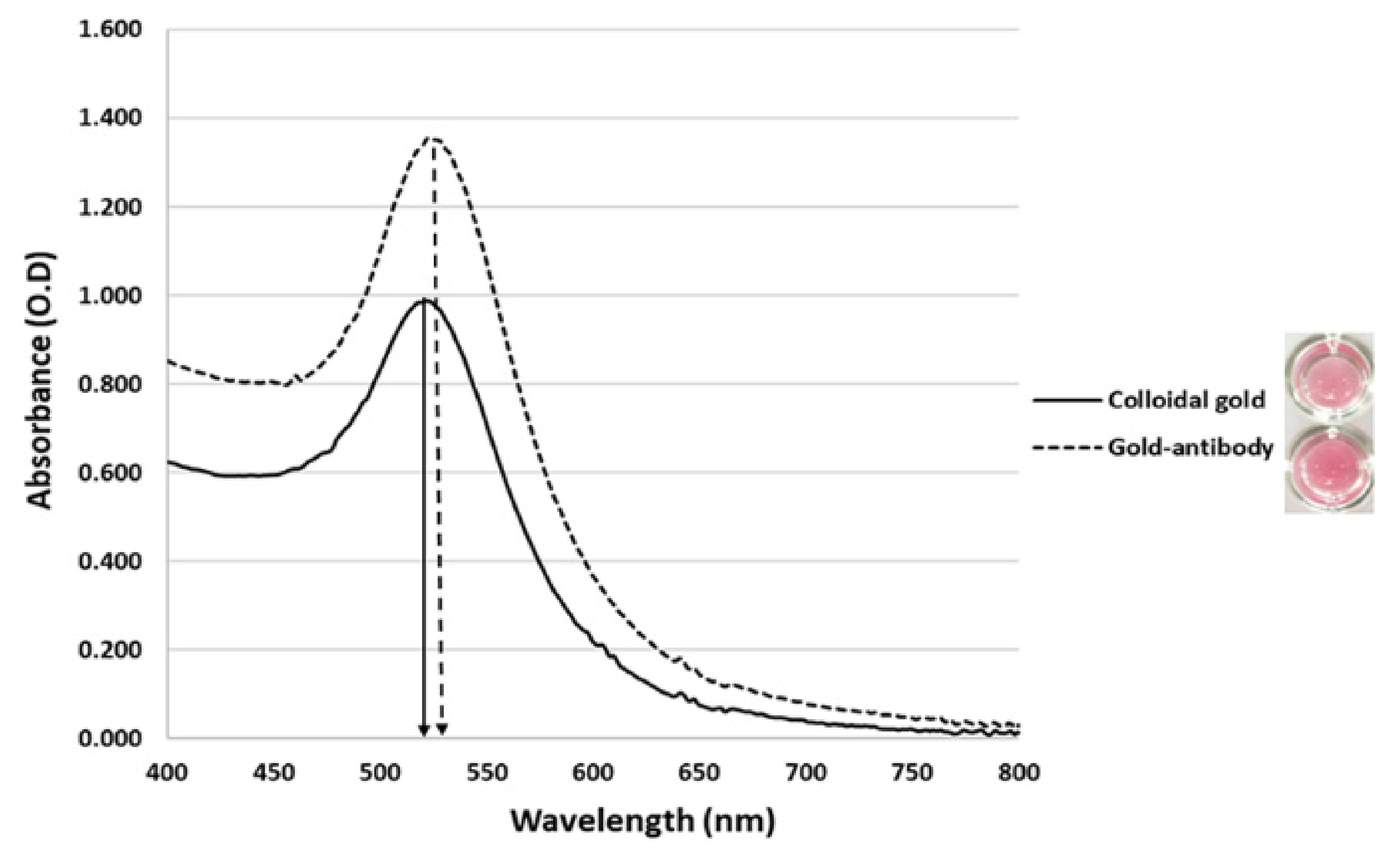 Diagnostics 10 00794 g002 Diagnostics 10 00794 g002