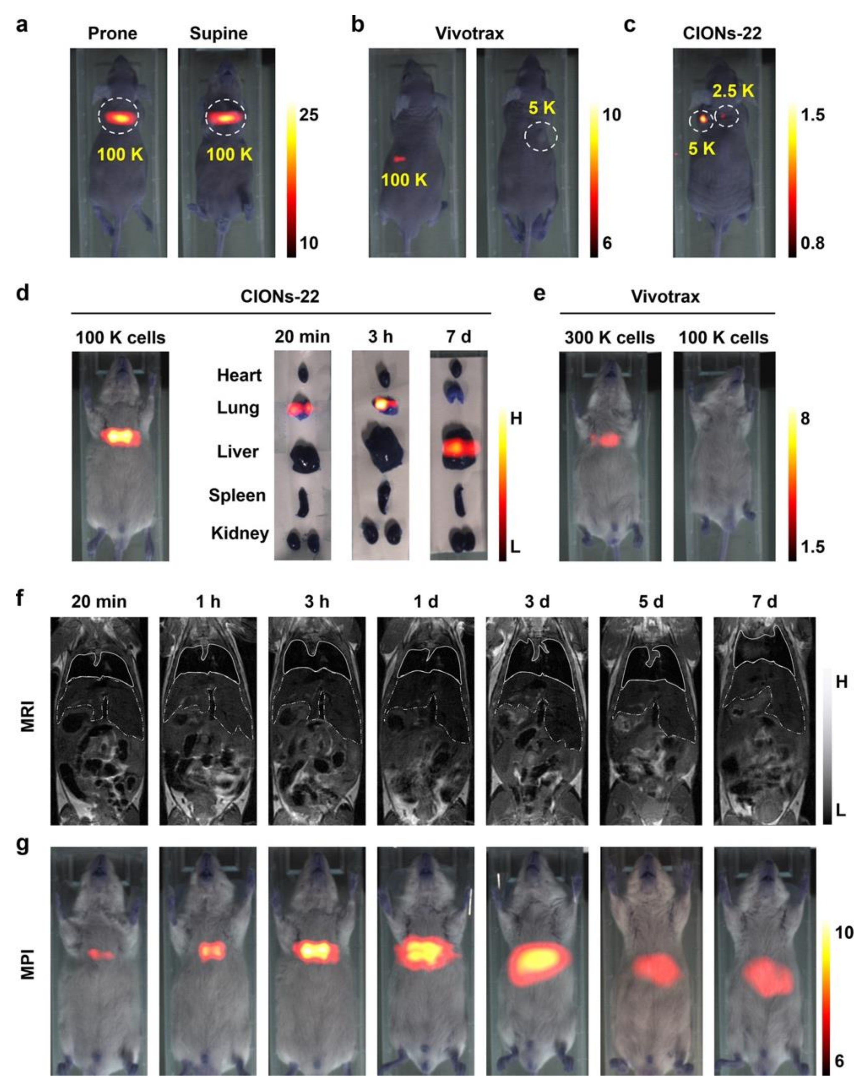 Diagnostics 10 00800 g001