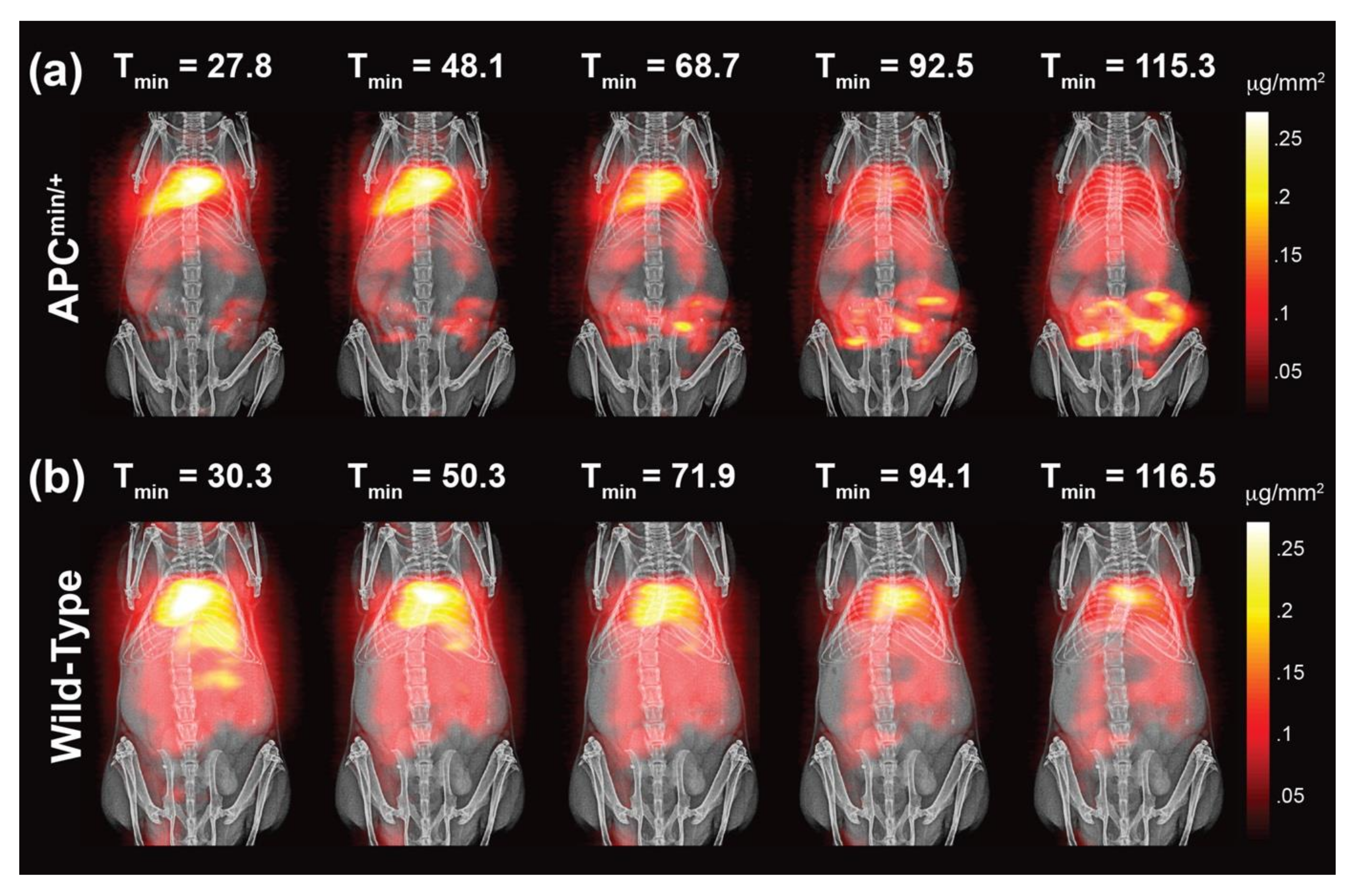 Diagnostics 10 00800 g003
