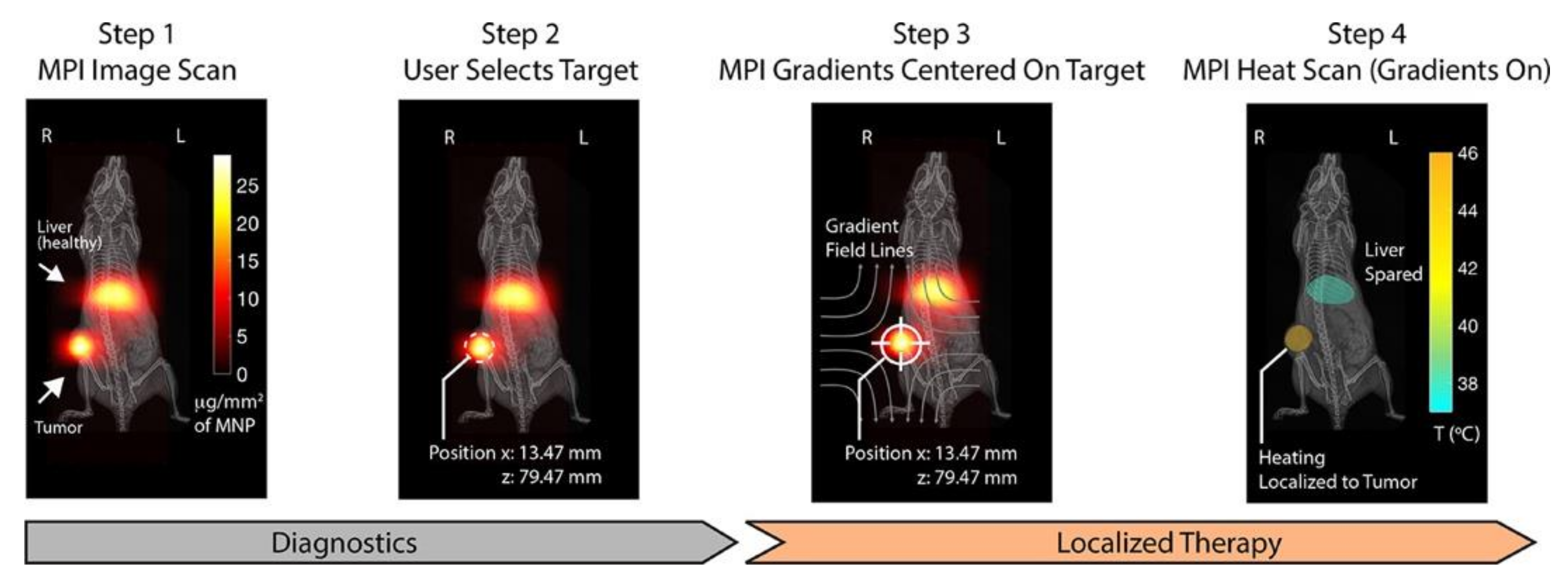 Diagnostics 10 00800 g004