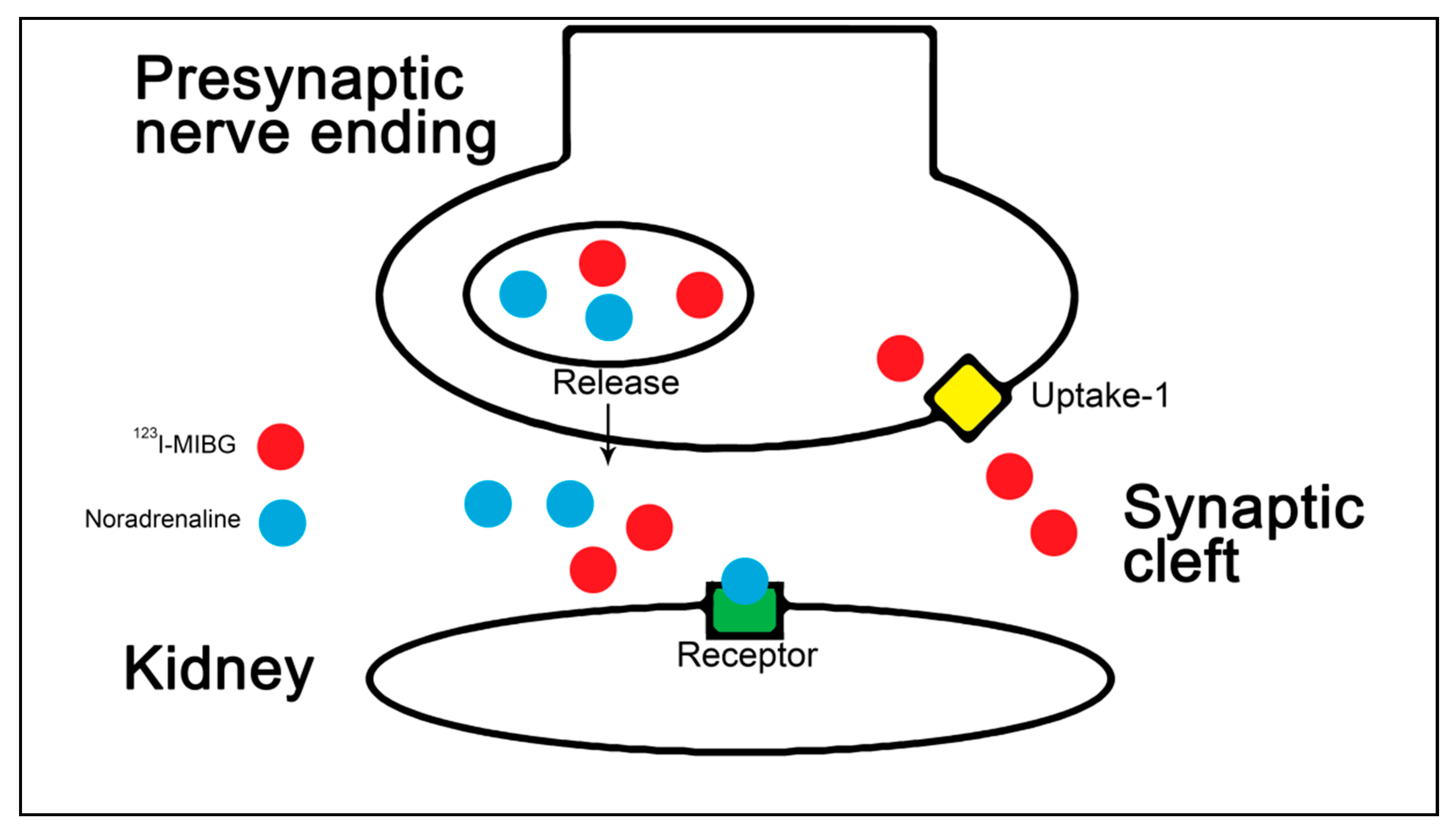 Diagnostics 10 00802 g001