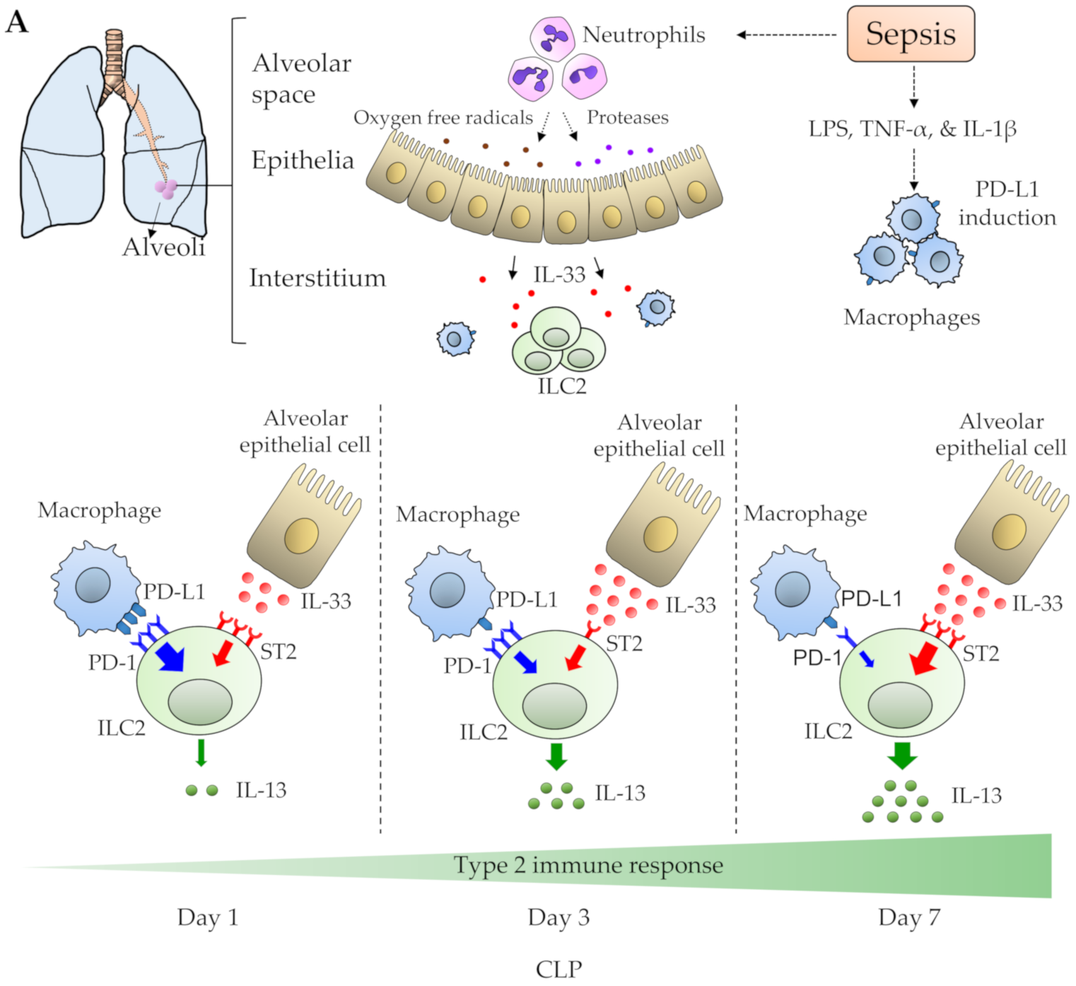 Diagnostics 10 00808 g002a