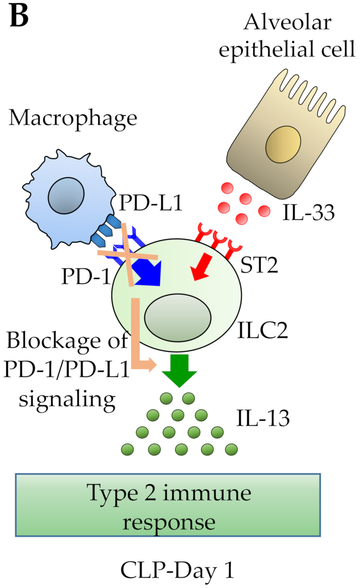 Diagnostics 10 00808 g002b