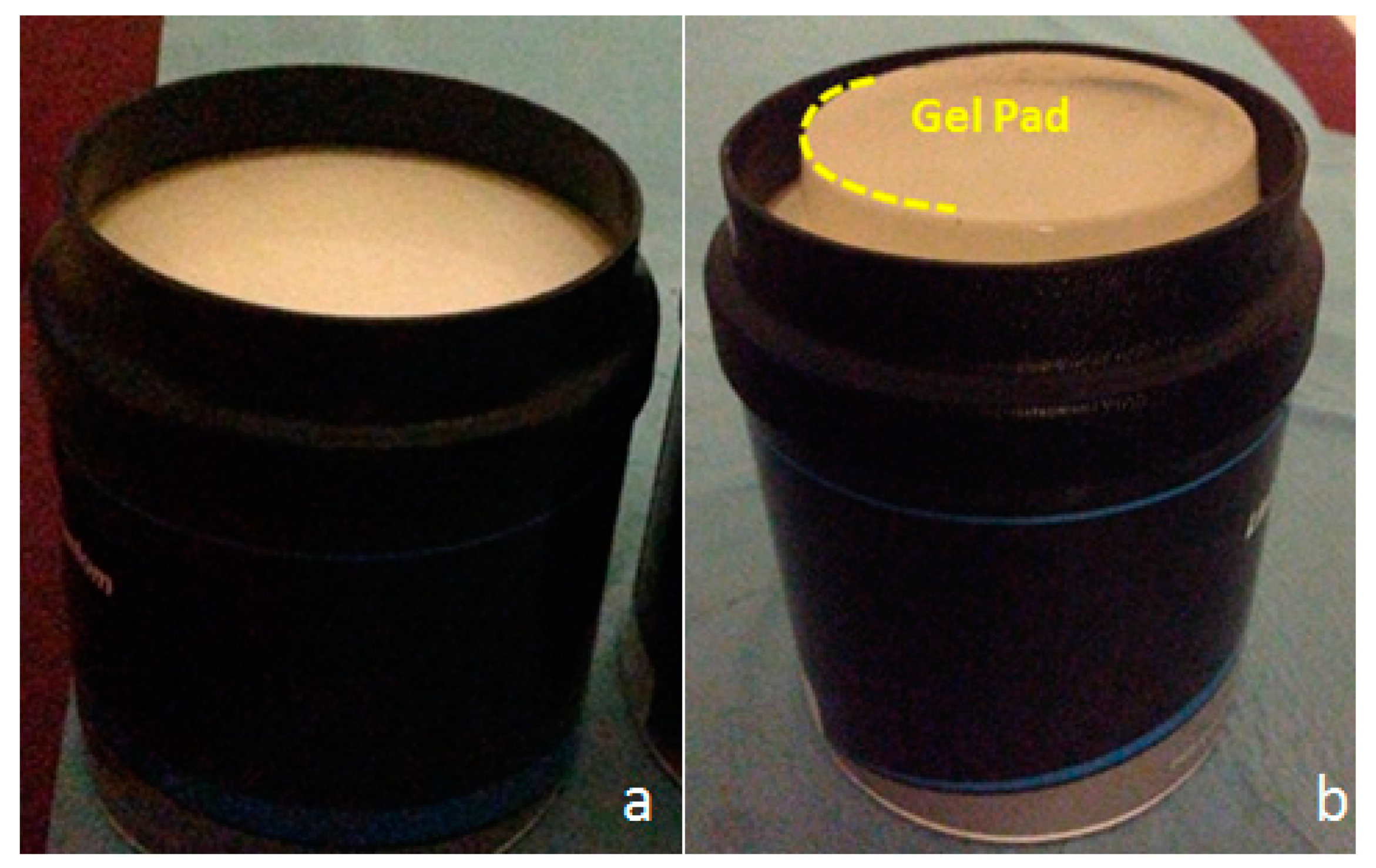 Diagnostics 10 00811 g002