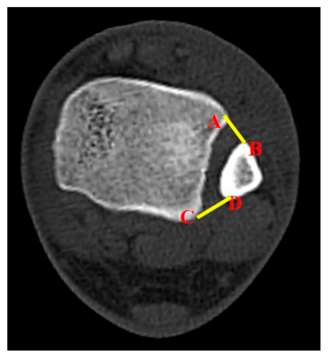 Diagnostics 10 00812 g002 550