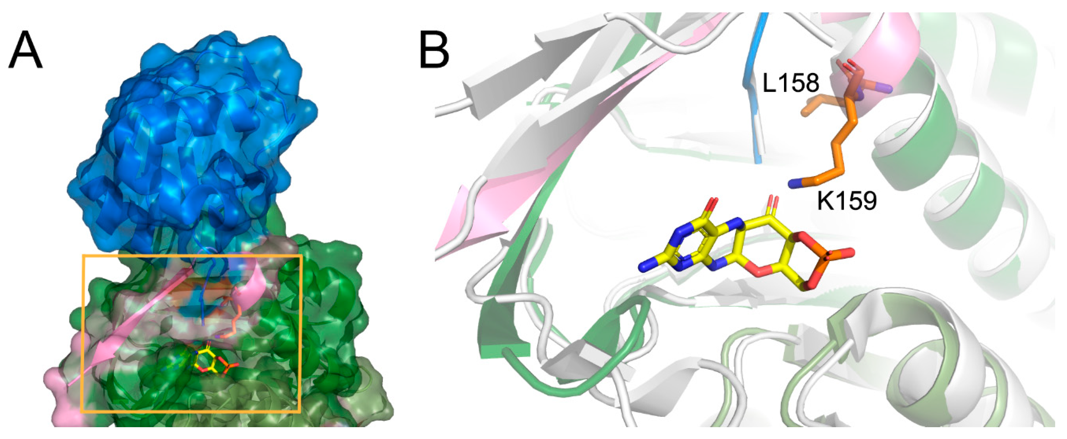 Diagnostics 10 00821 g002