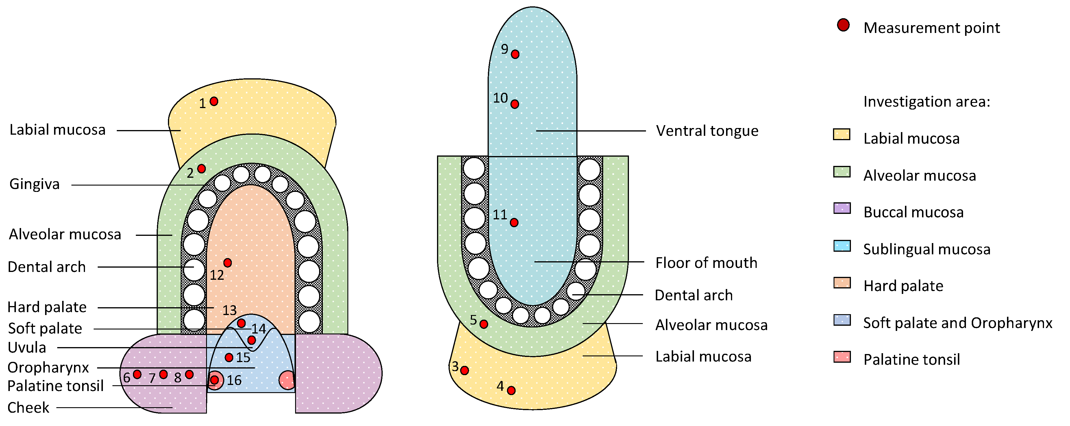 Diagnostics 10 00827 g001