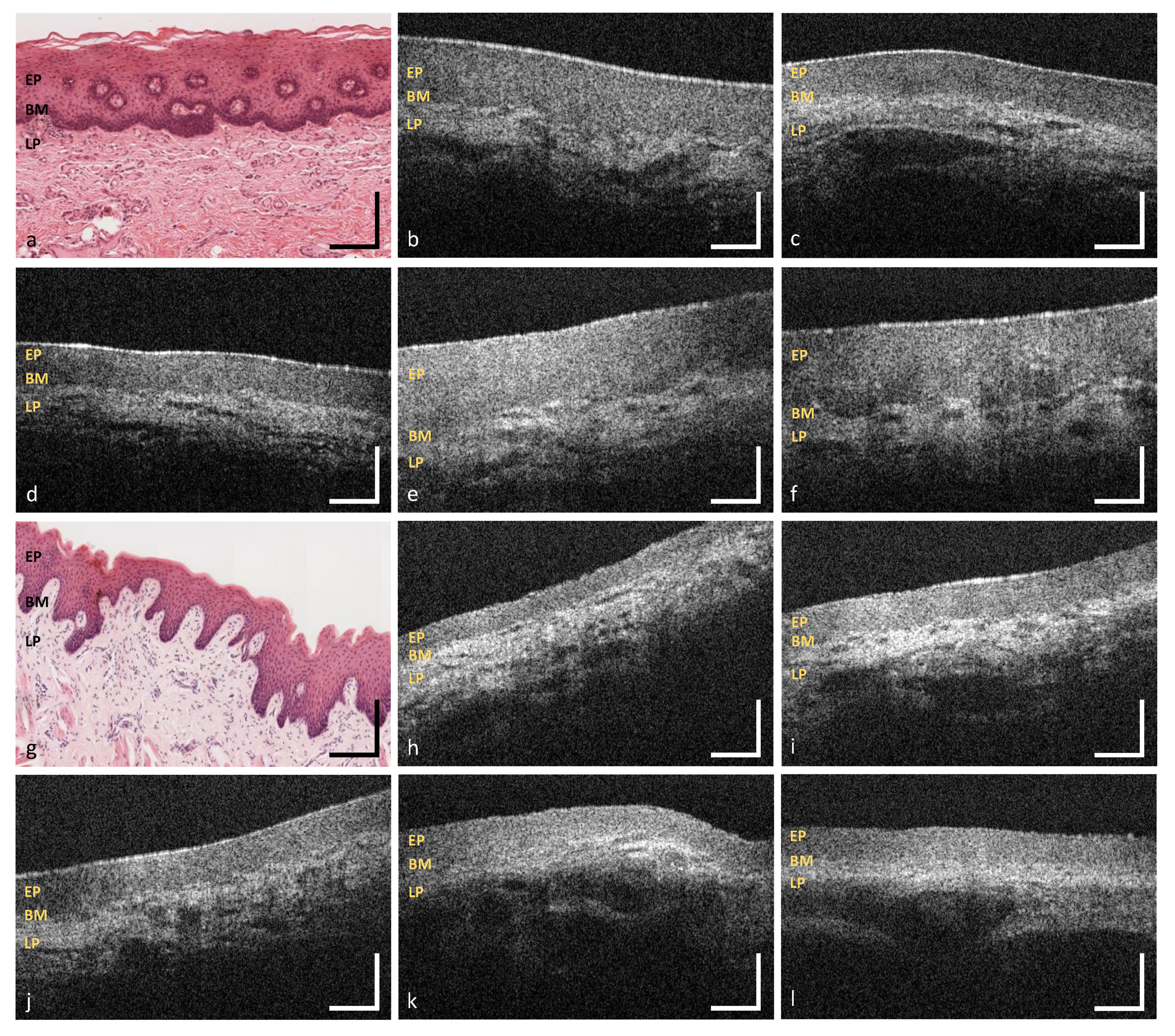 Diagnostics 10 00827 g007