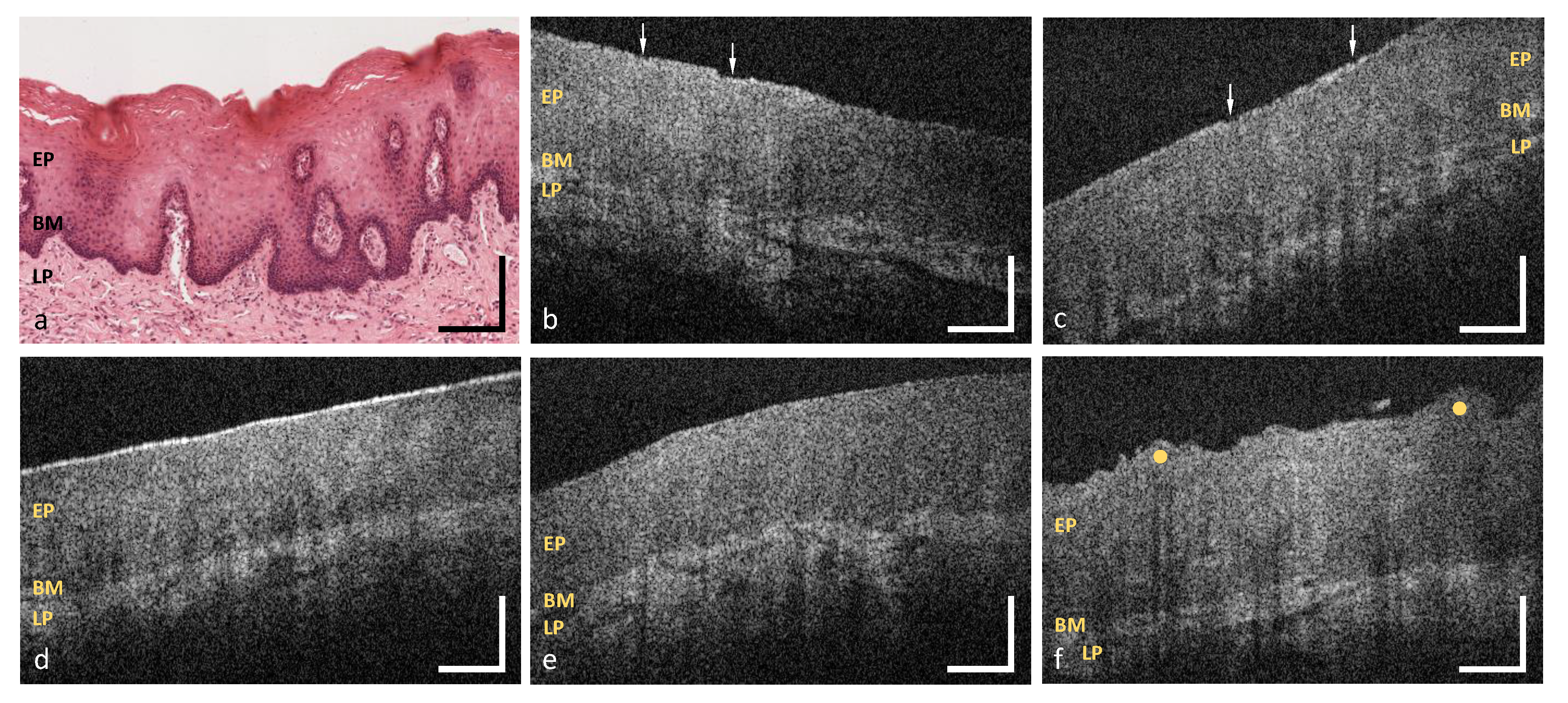 Diagnostics 10 00827 g008