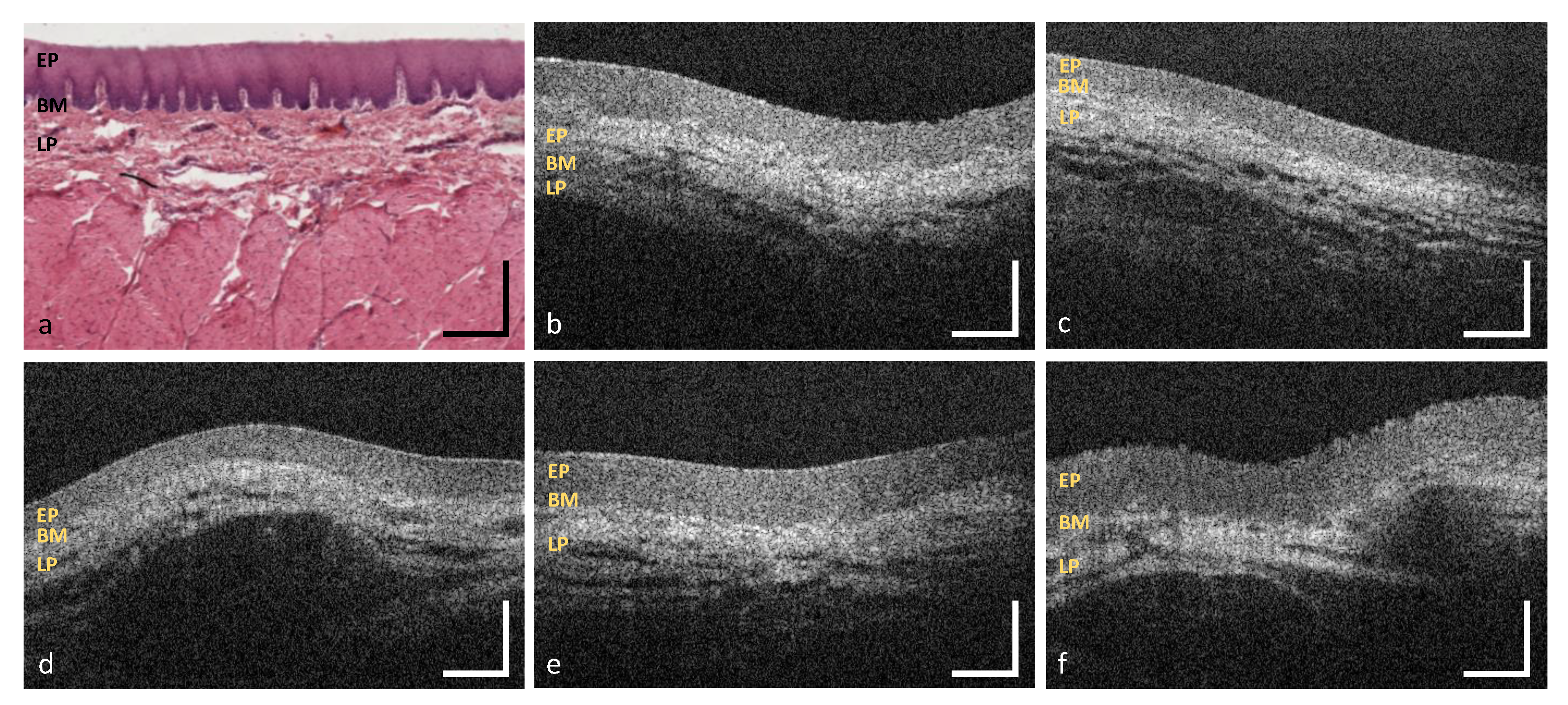 Diagnostics 10 00827 g009