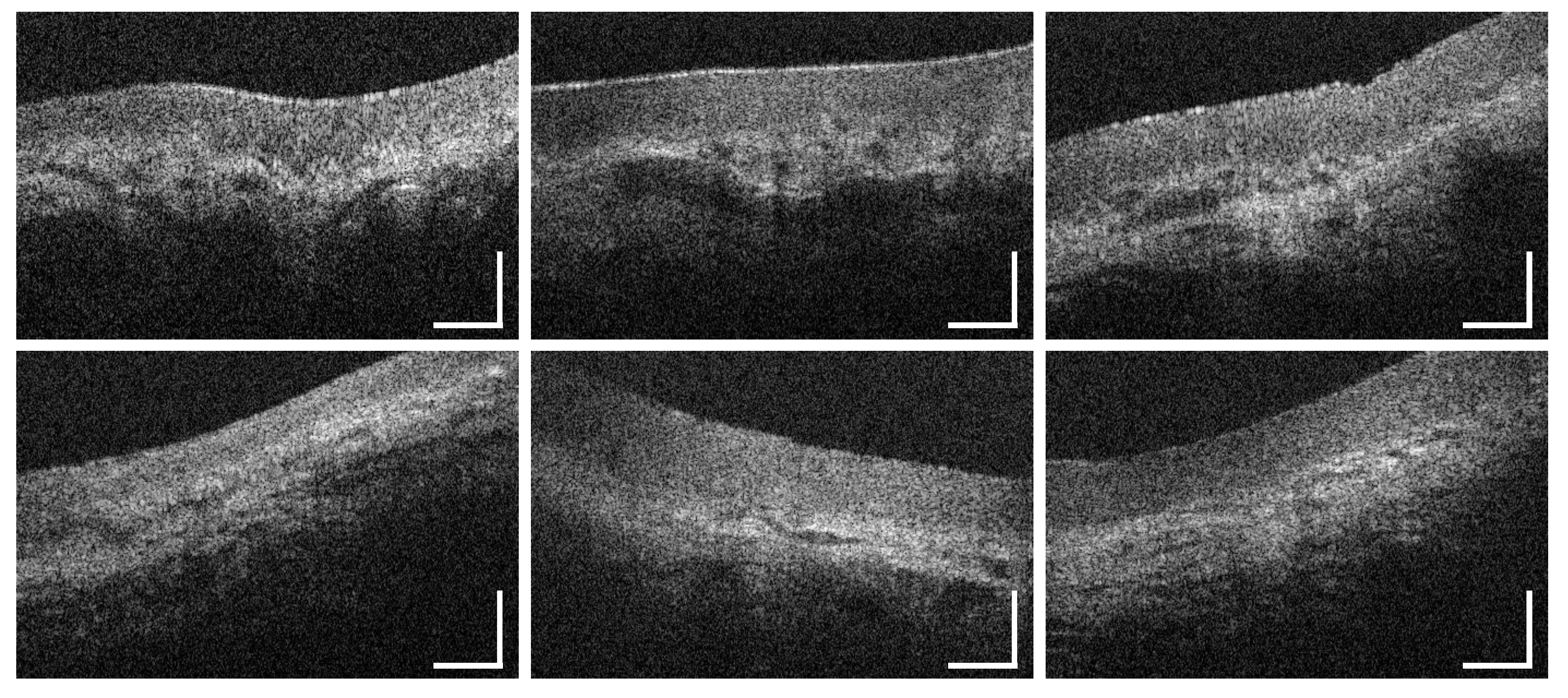 Diagnostics 10 00827 g0a12