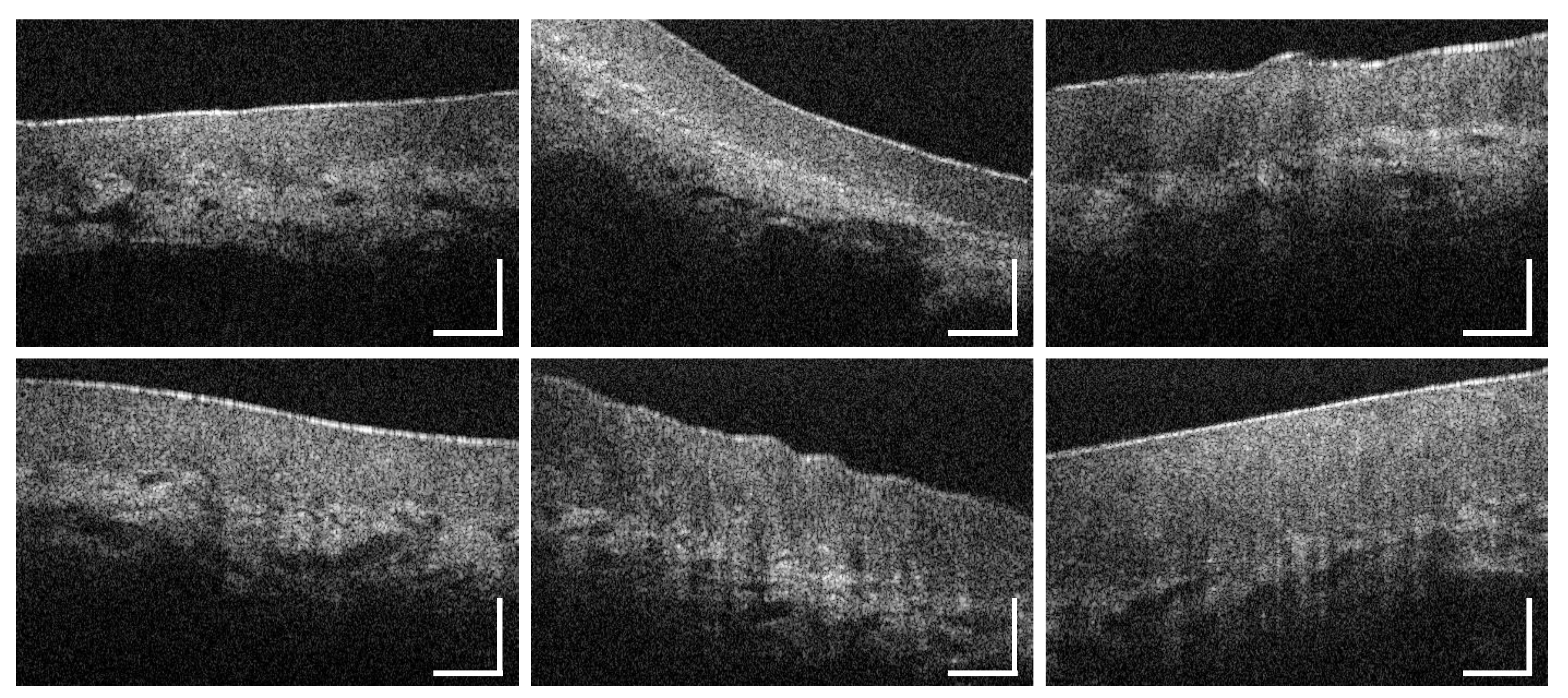Diagnostics 10 00827 g0a14