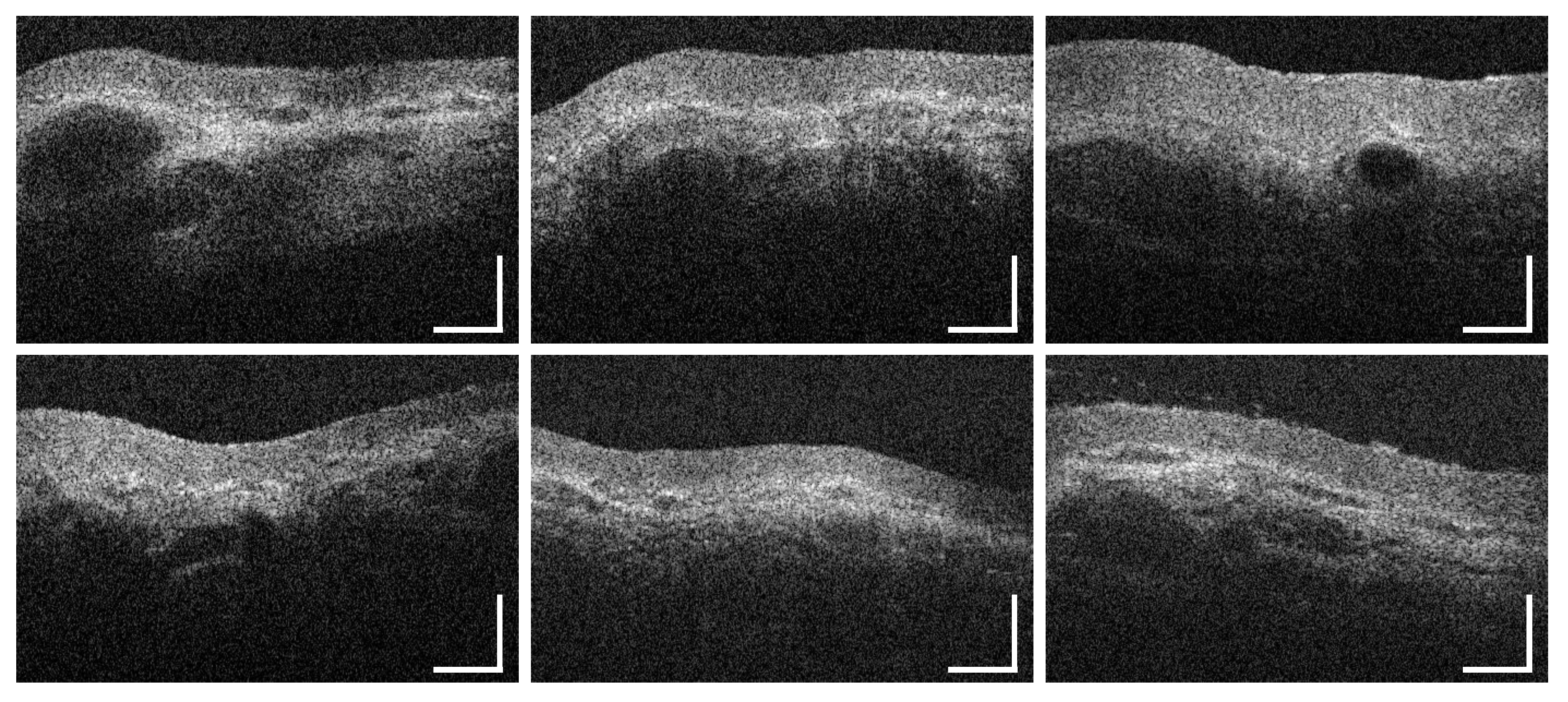 Diagnostics 10 00827 g0a15