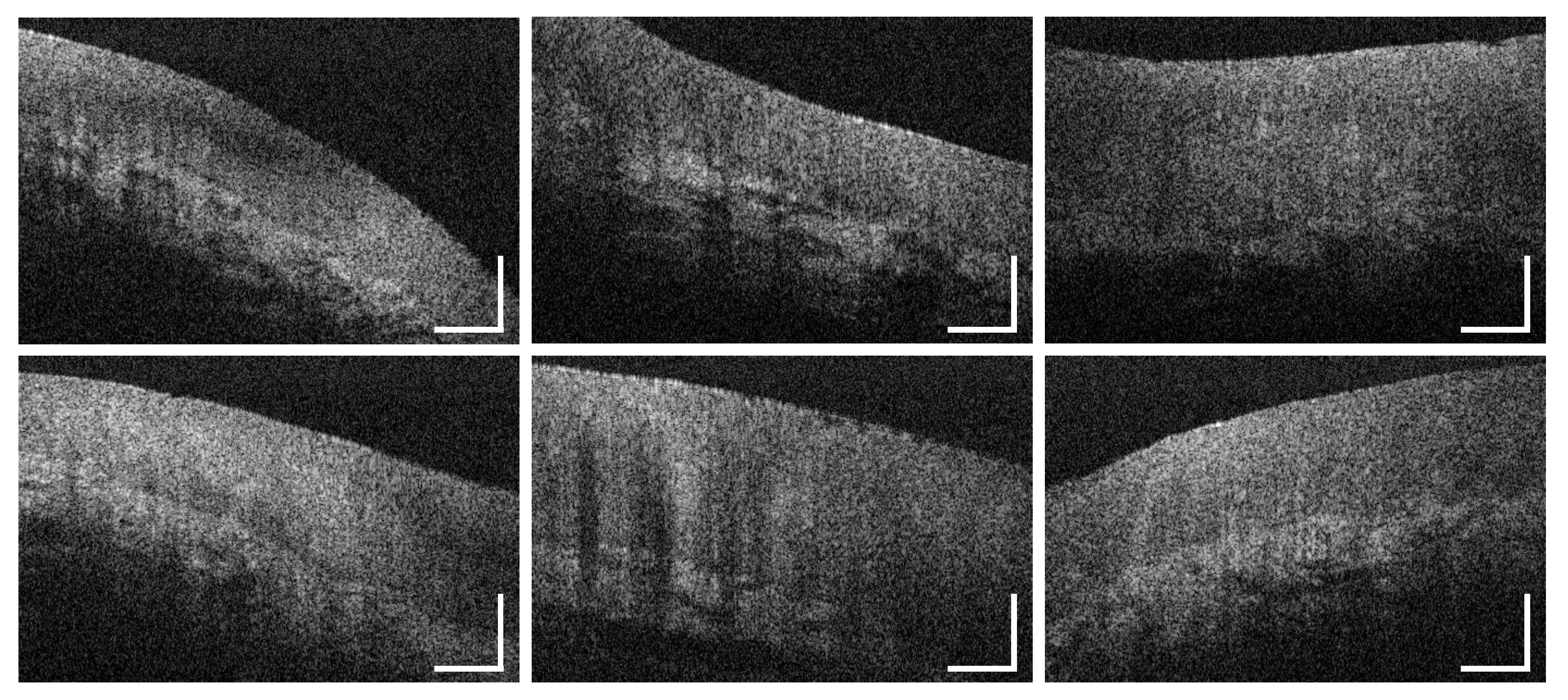 Diagnostics 10 00827 g0a16
