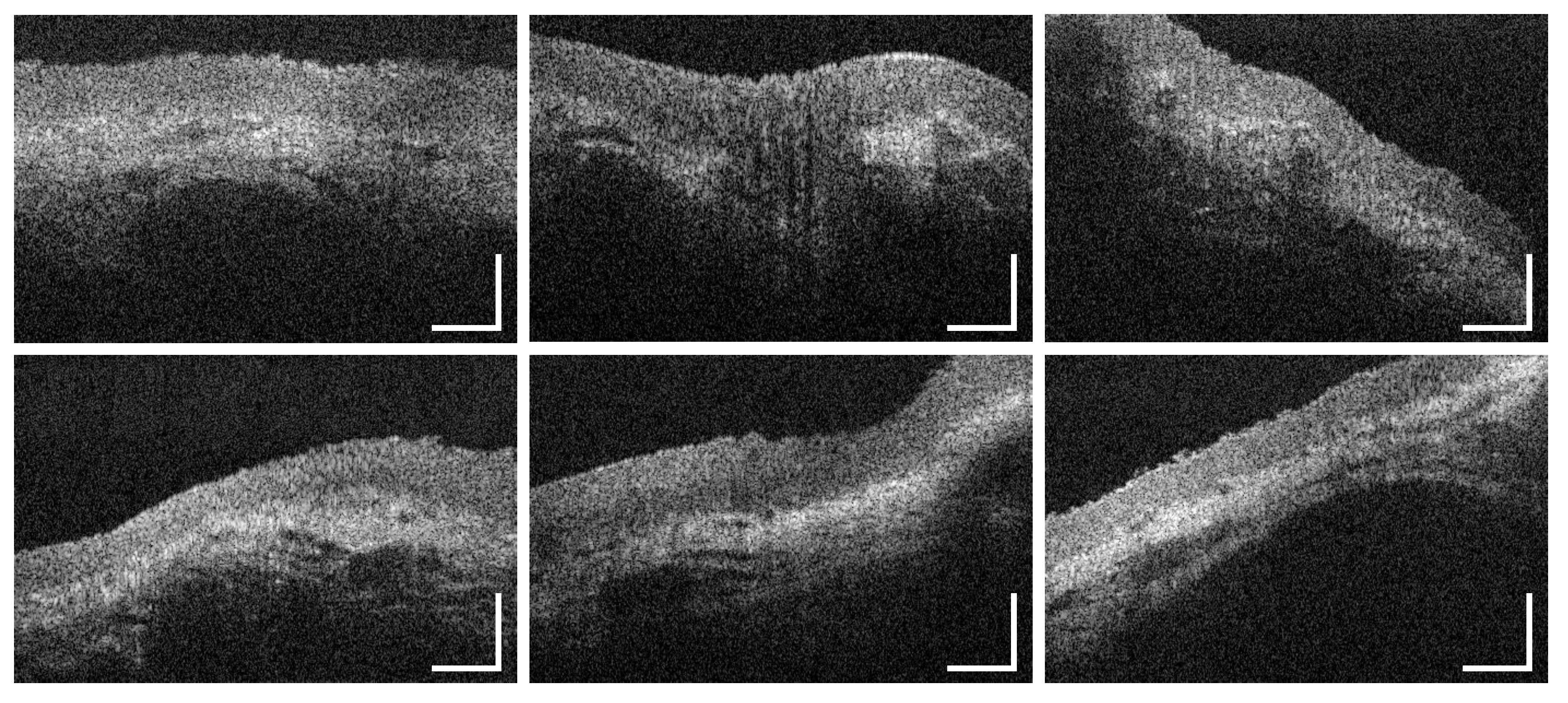 Diagnostics 10 00827 g0a21
