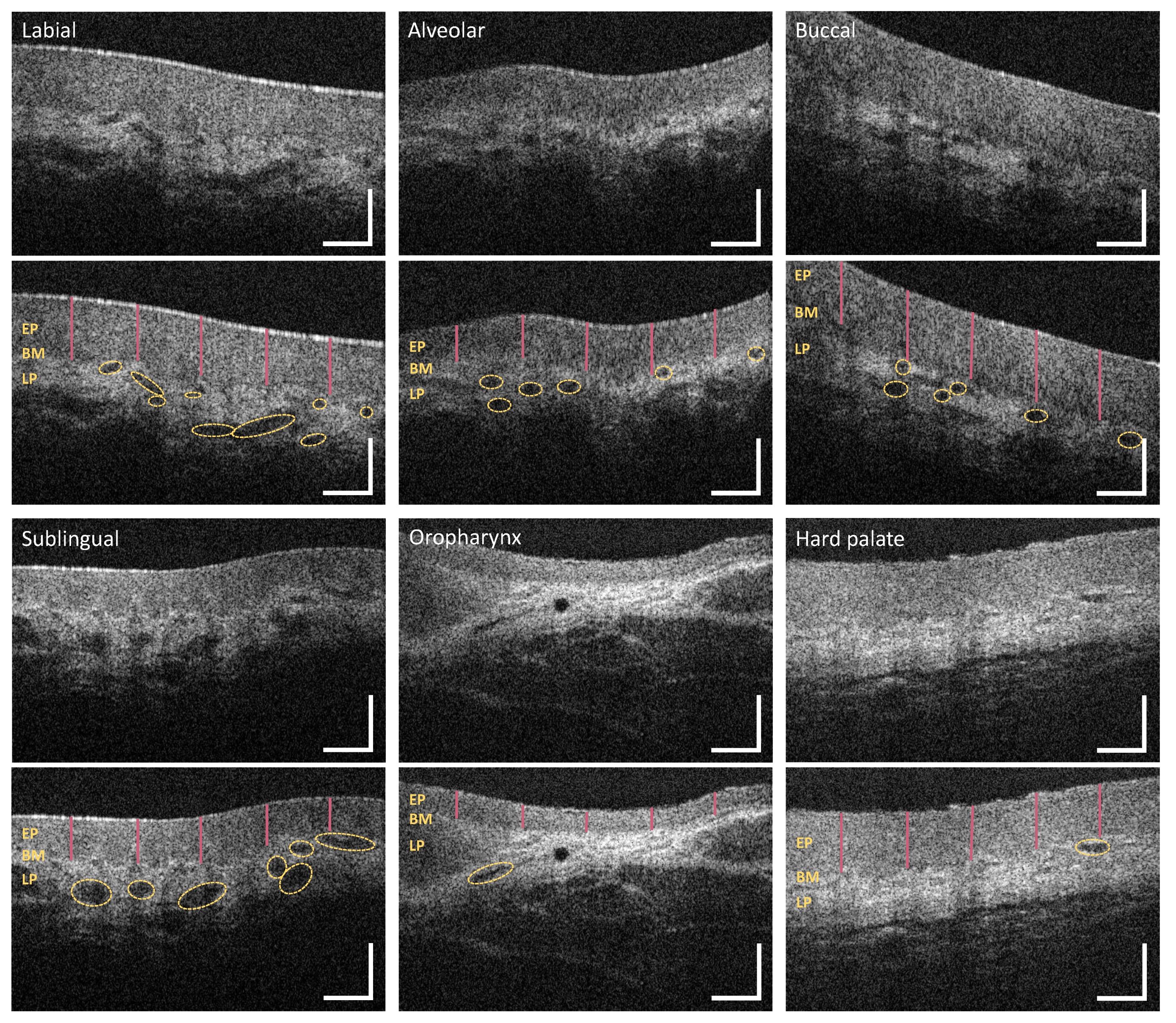 Diagnostics 10 00827 g0a3