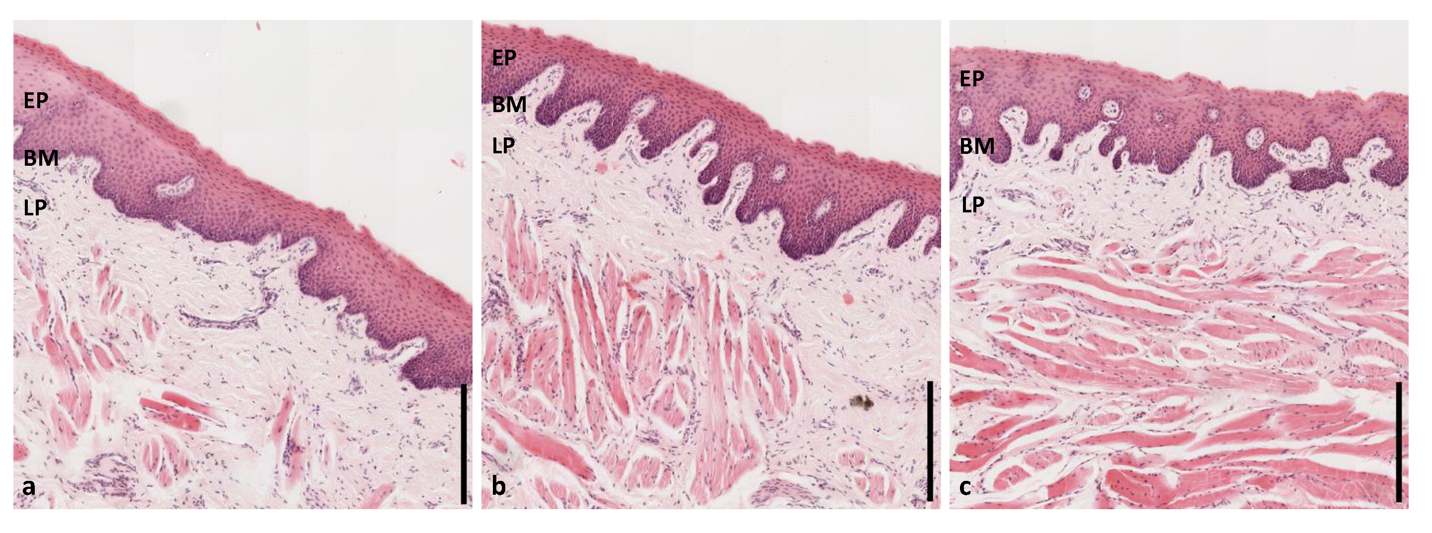 Diagnostics 10 00827 g0a5