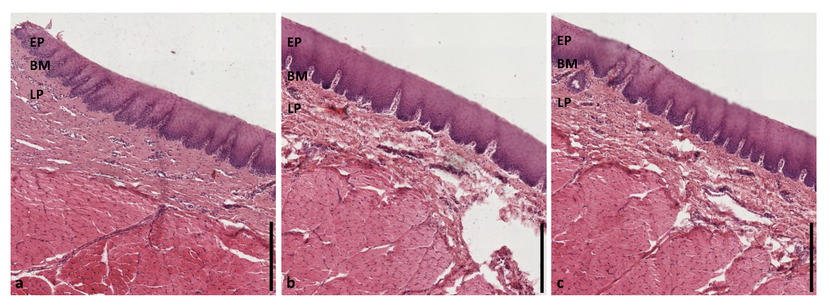 Diagnostics 10 00827 g0a7