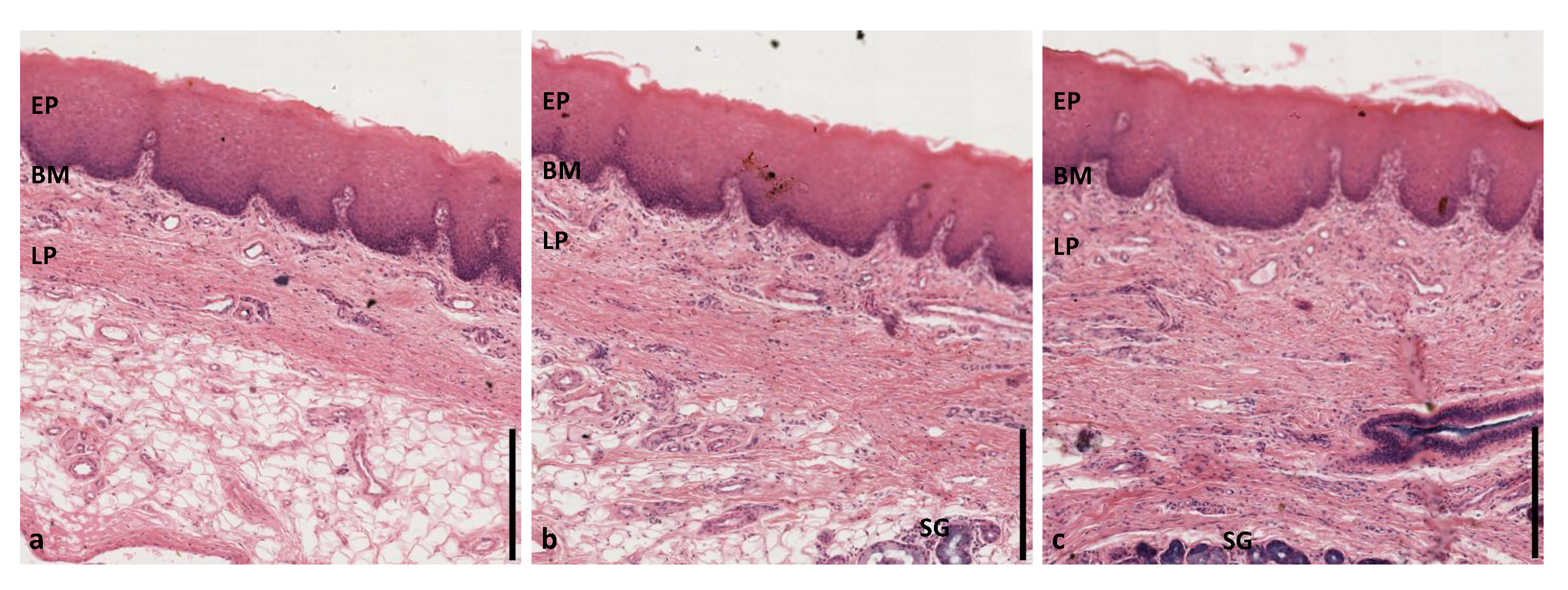 Diagnostics 10 00827 g0a8