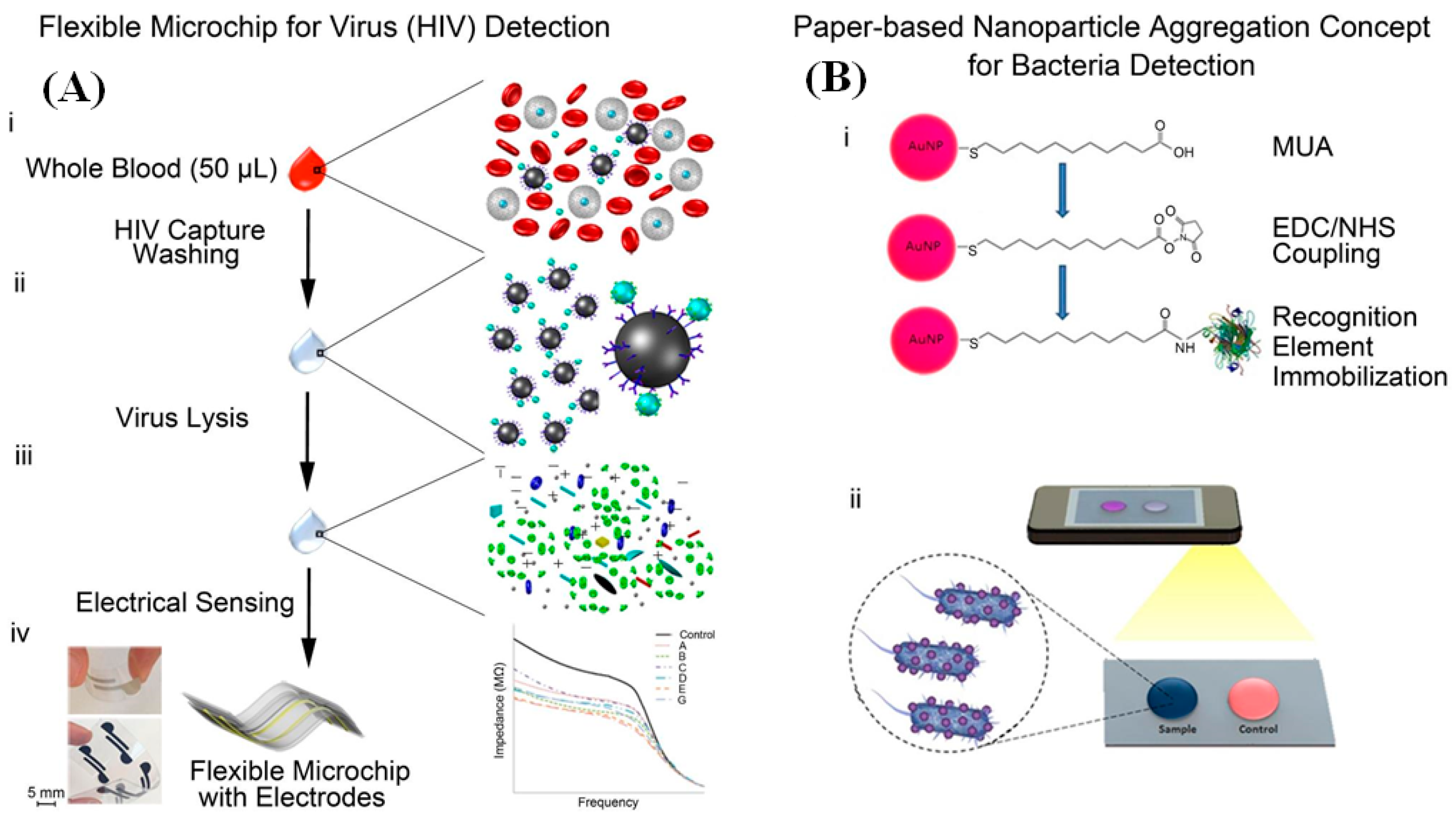 Diagnostics 10 00841 g003 Diagnostics 10 00841 g003