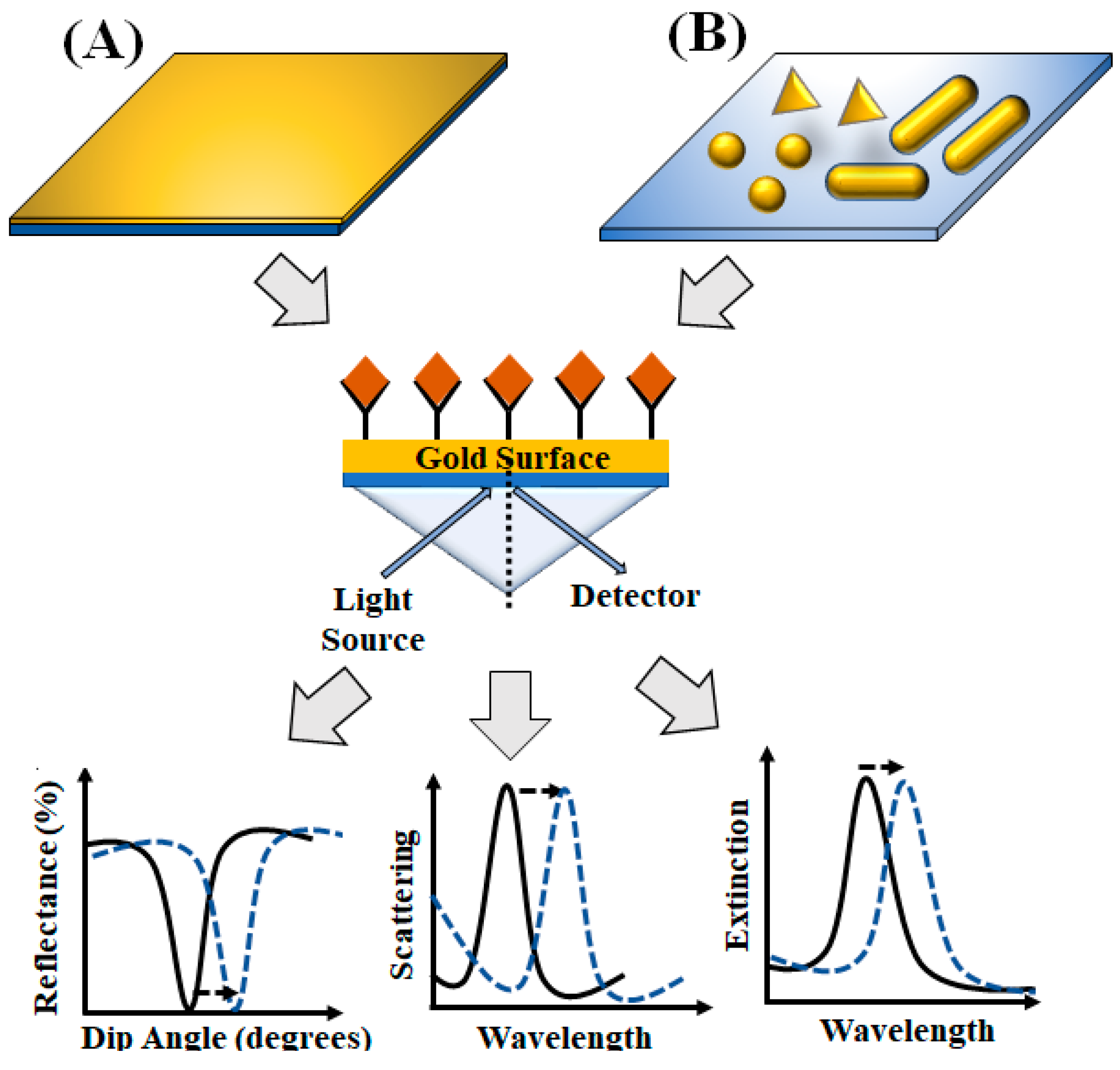 Diagnostics 10 00841 g004 Diagnostics 10 00841 g004
