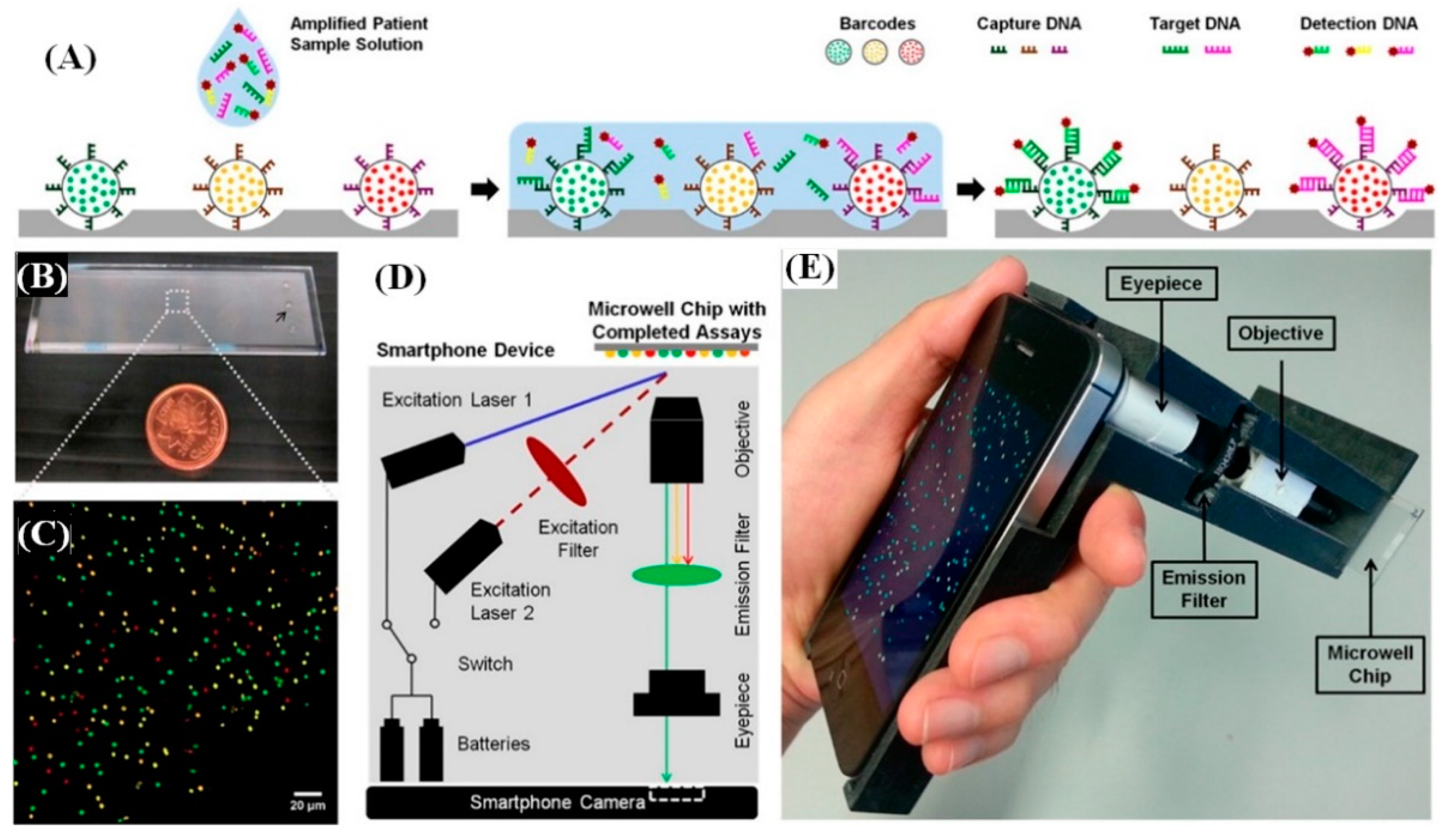 Diagnostics 10 00841 g005 Diagnostics 10 00841 g005