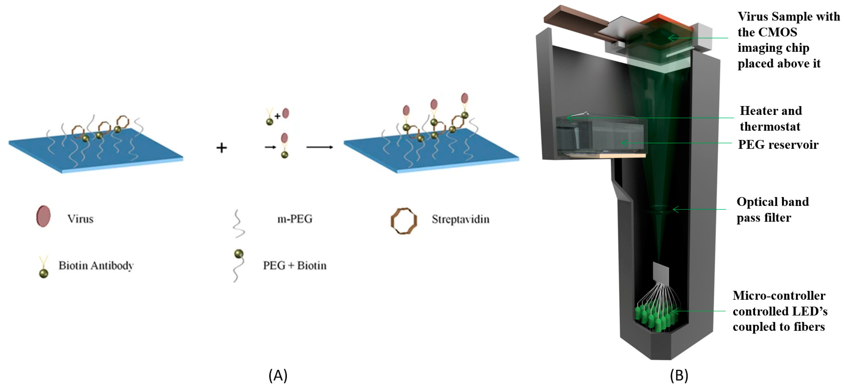 Diagnostics 10 00841 g007 Diagnostics 10 00841 g007