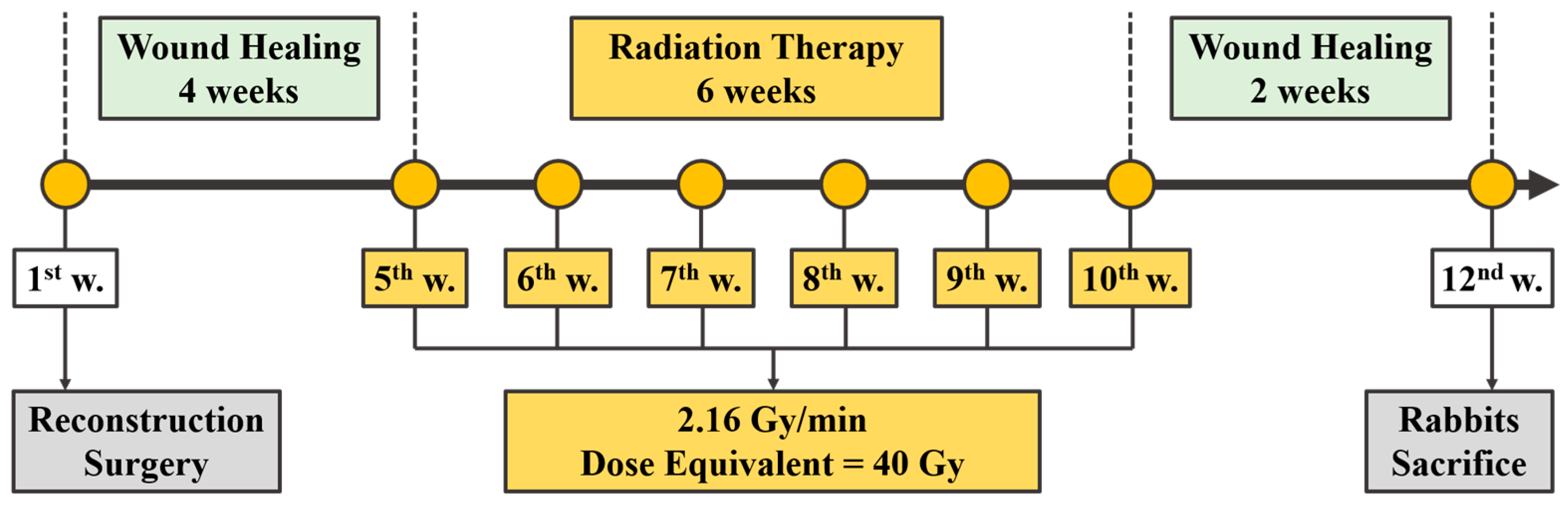 Diagnostics 10 00844 g004 Diagnostics 10 00844 g004