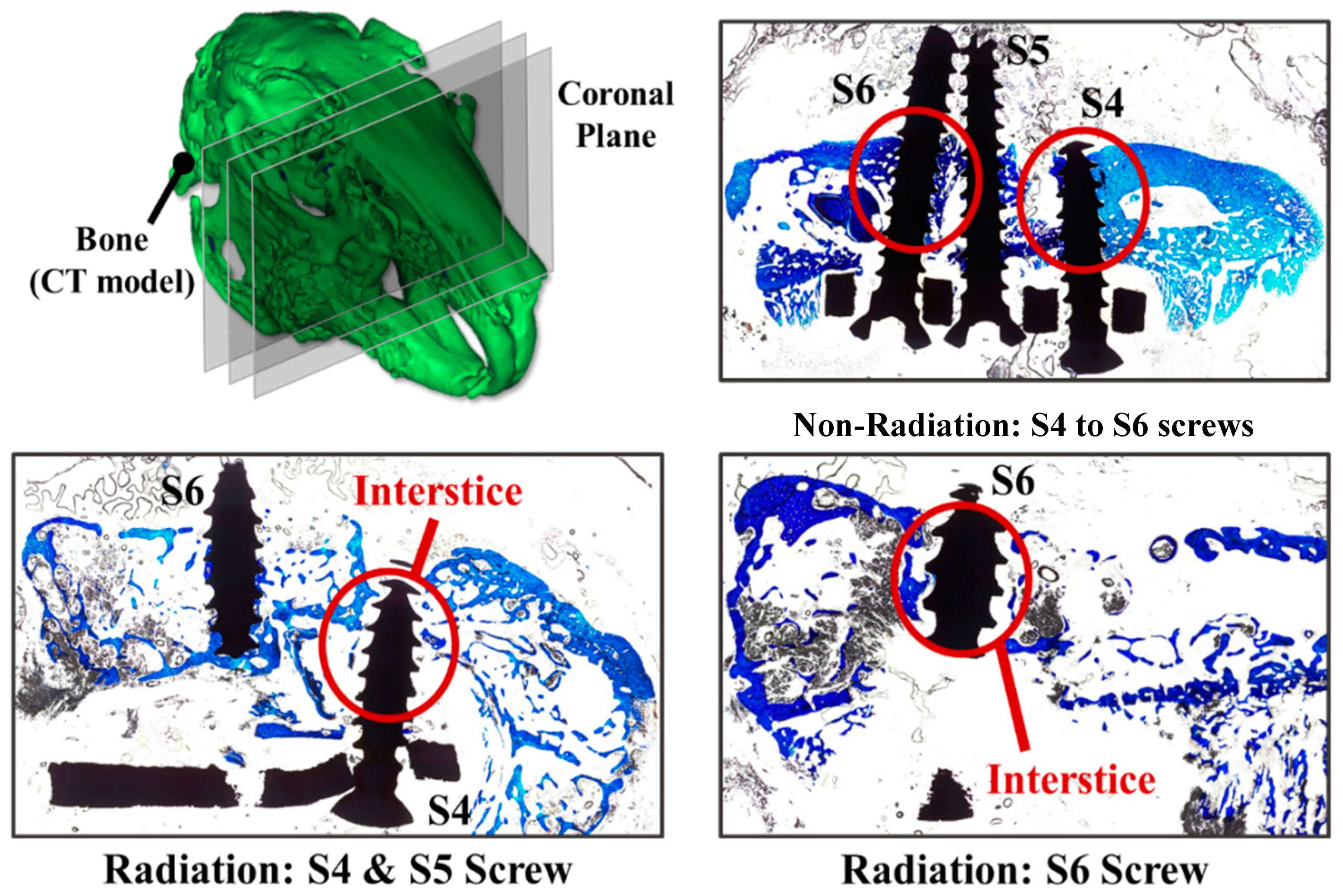 Diagnostics 10 00844 g008 Diagnostics 10 00844 g008
