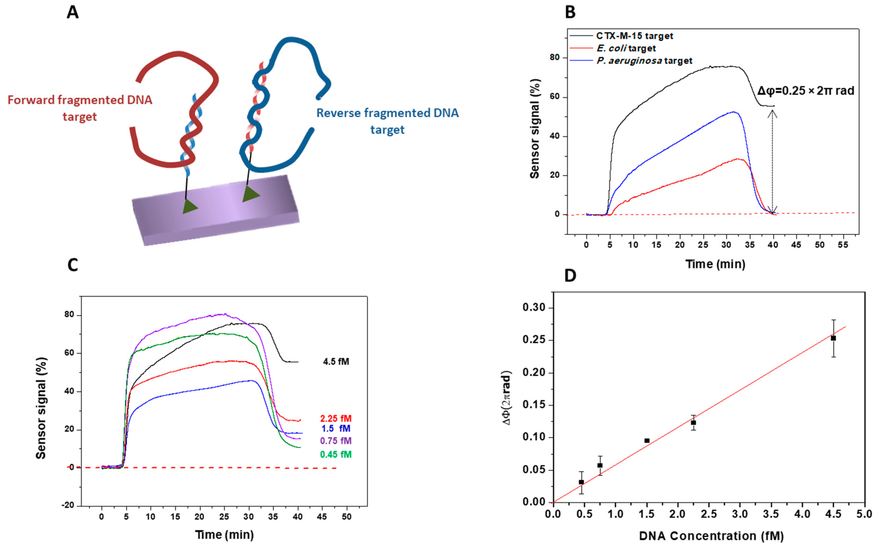 Diagnostics 10 00845 g004 Diagnostics 10 00845 g004