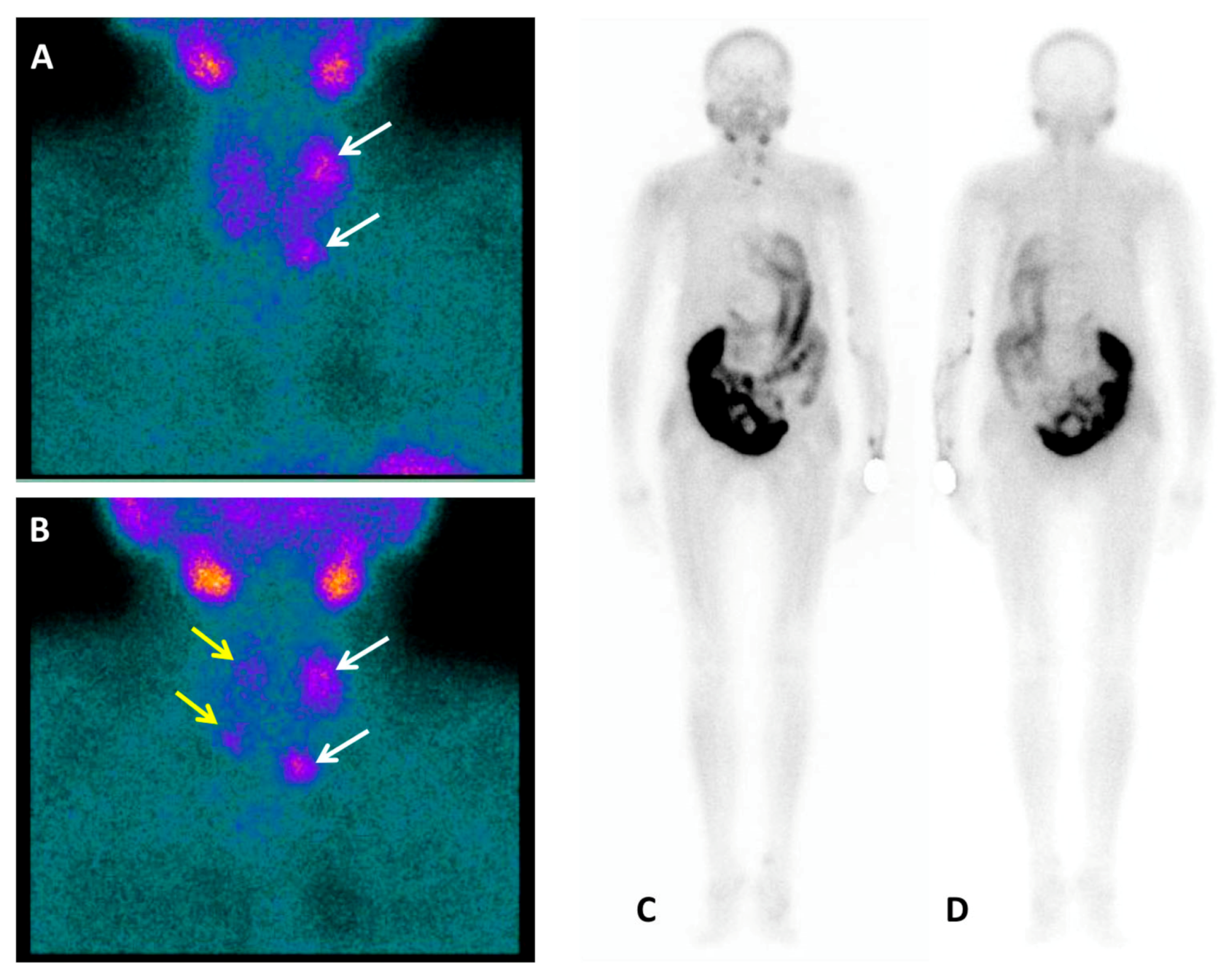 Diagnostics 10 00851 g001