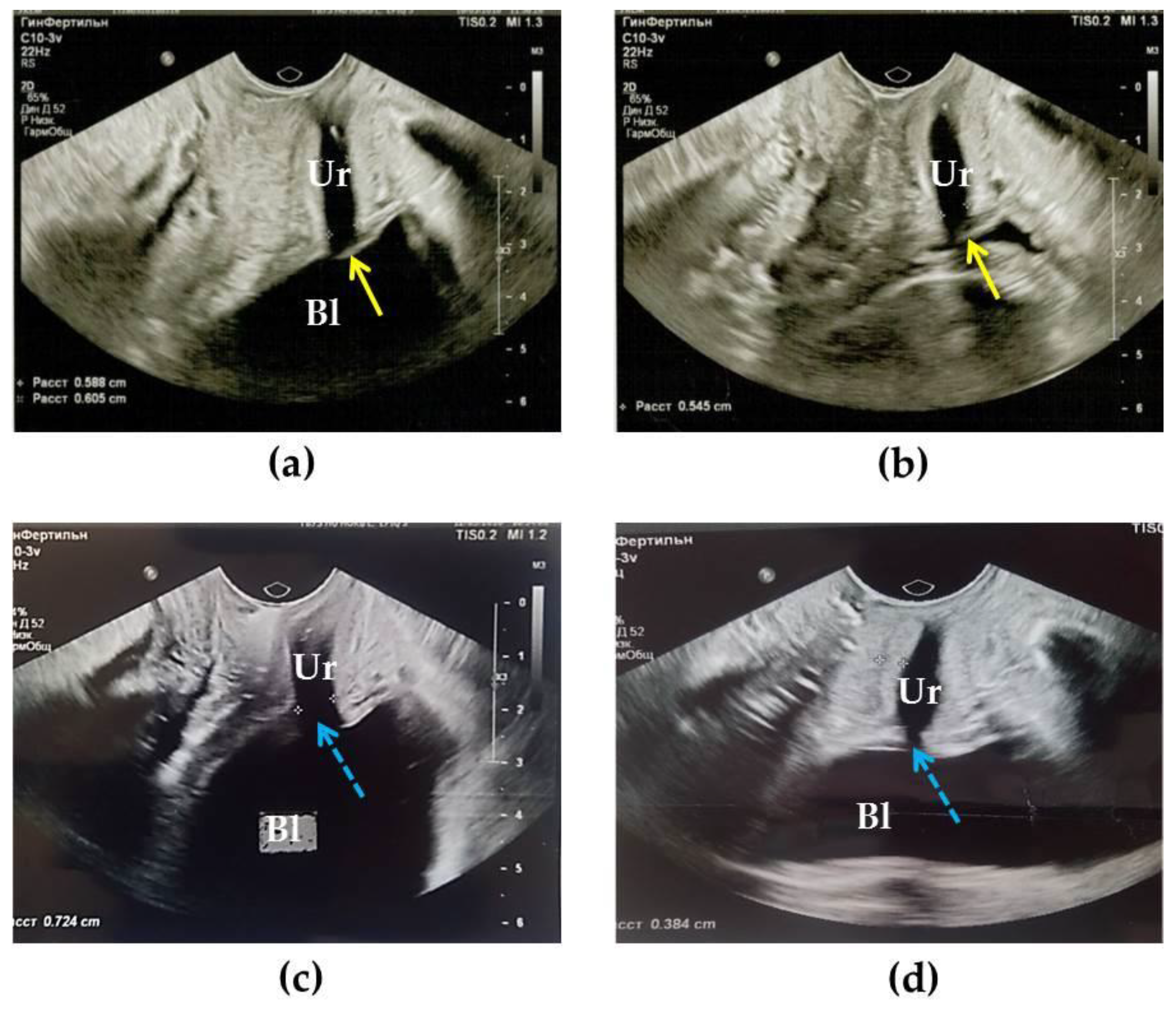 Diagnostics 10 00860 g002
