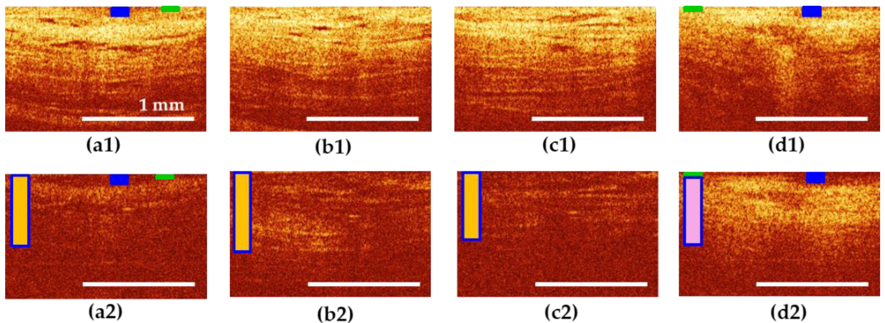Diagnostics 10 00860 g006