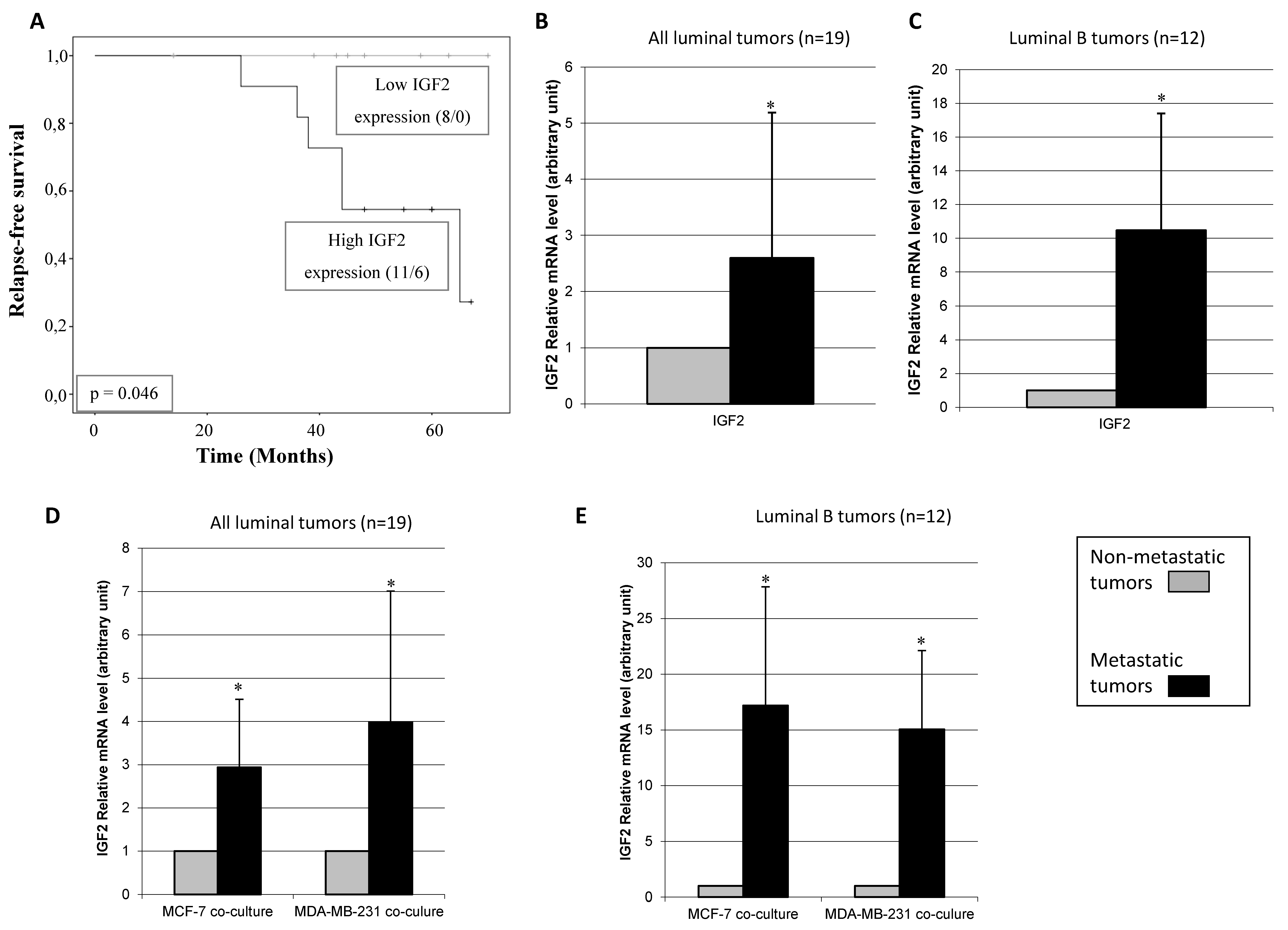 Diagnostics 10 00865 g004 Diagnostics 10 00865 g004