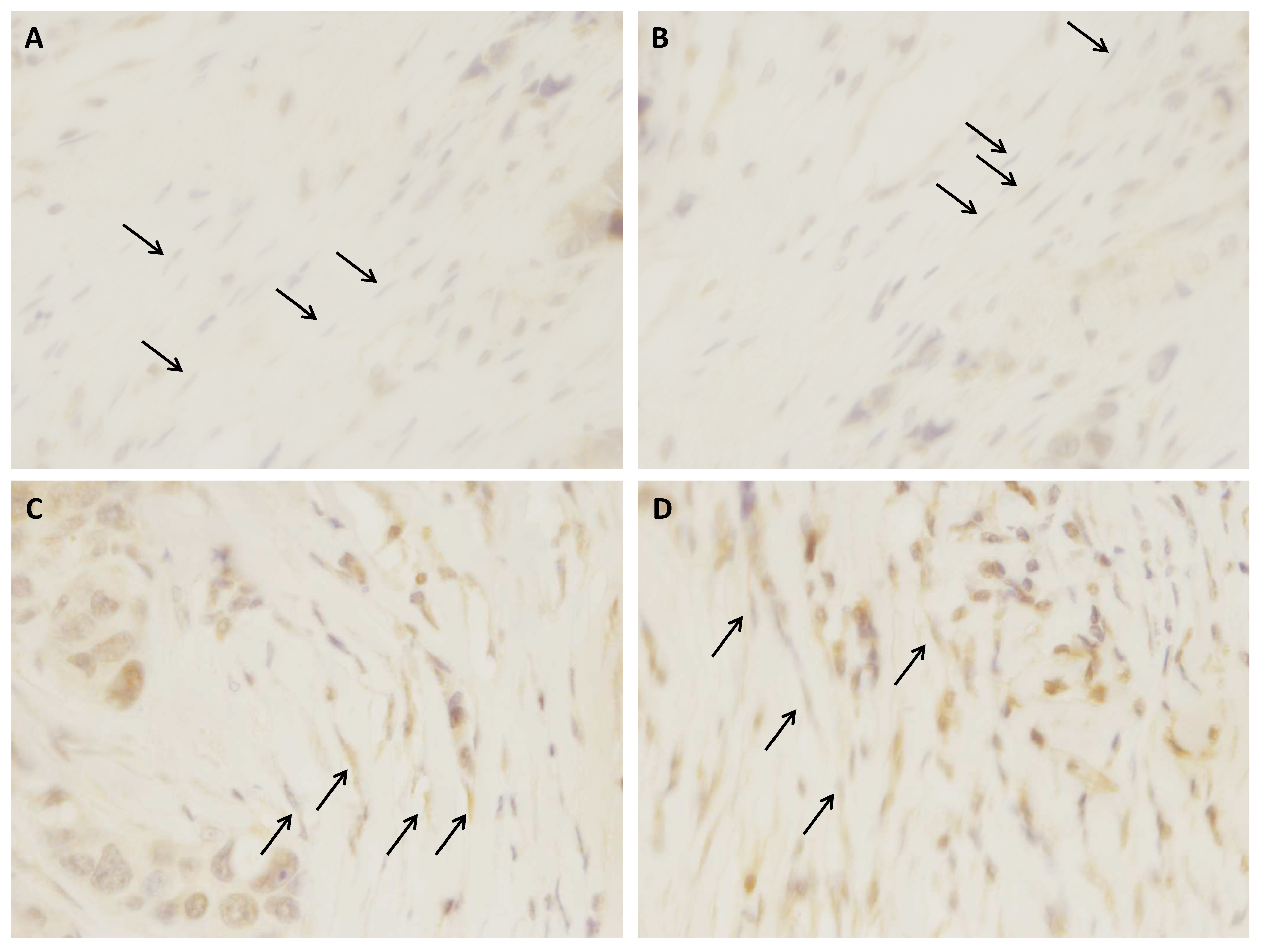 Diagnostics 10 00865 g005 Diagnostics 10 00865 g005