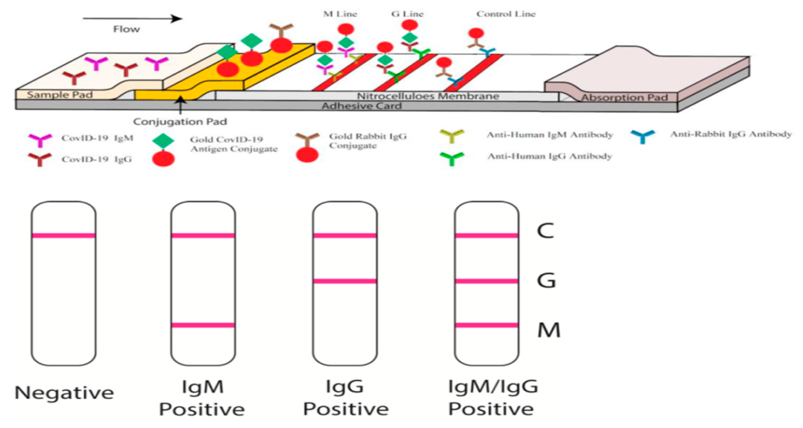 2019-nCoV Neutralization Antibody 2nd Gen Rapid Test Kit (Colloidal Gold  Immunochromatography)