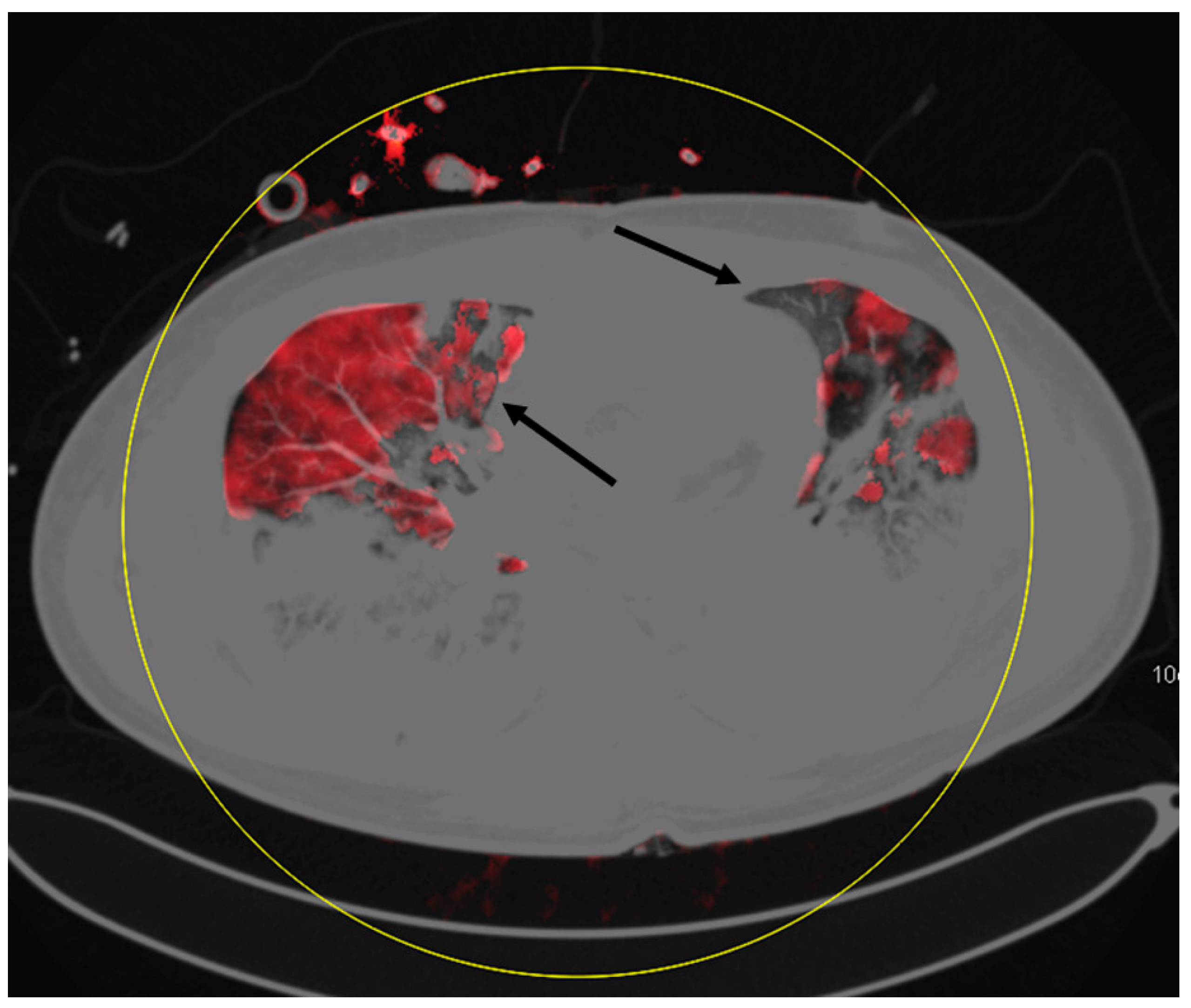 Diagnostics 10 00870 g002