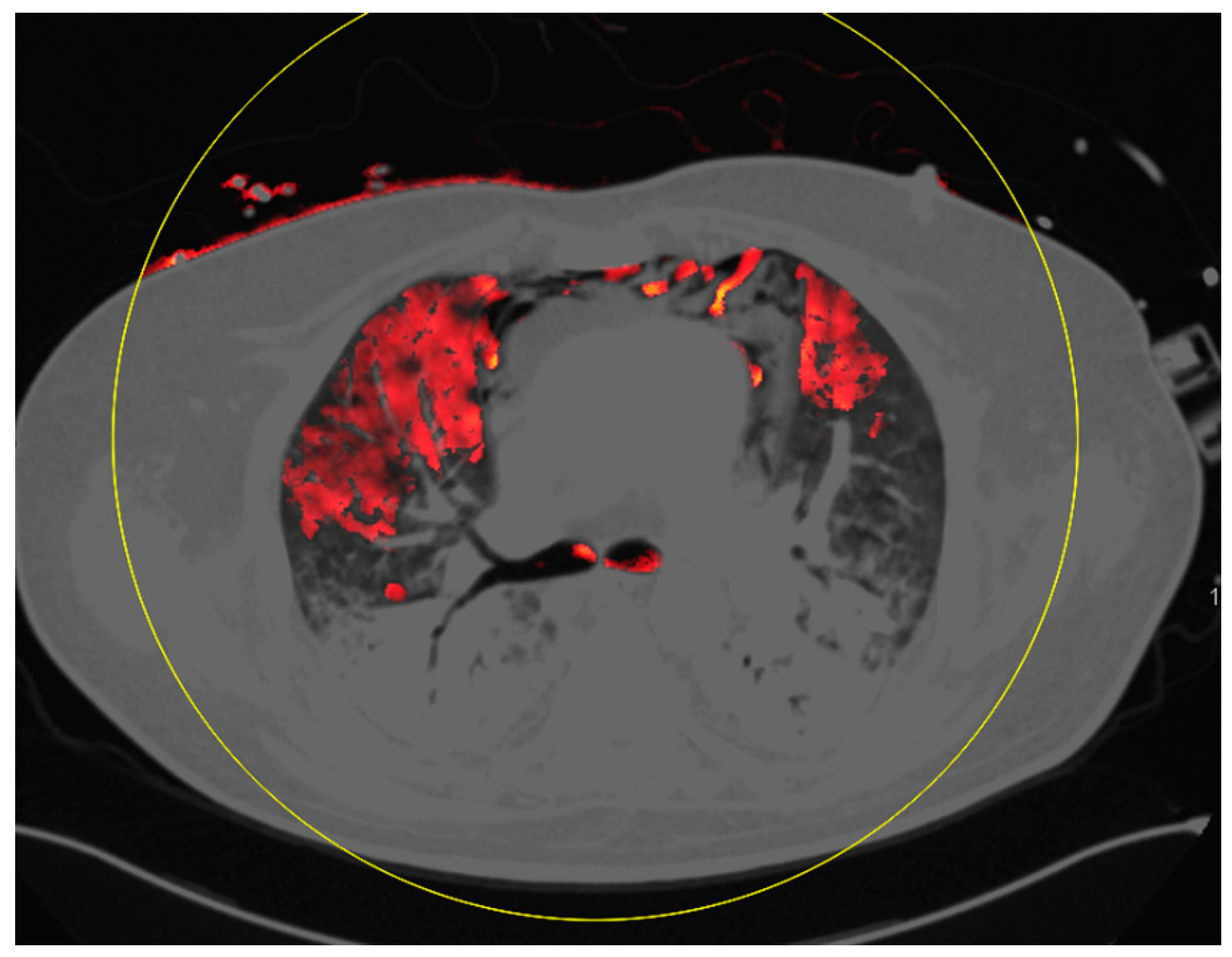Diagnostics 10 00870 g003