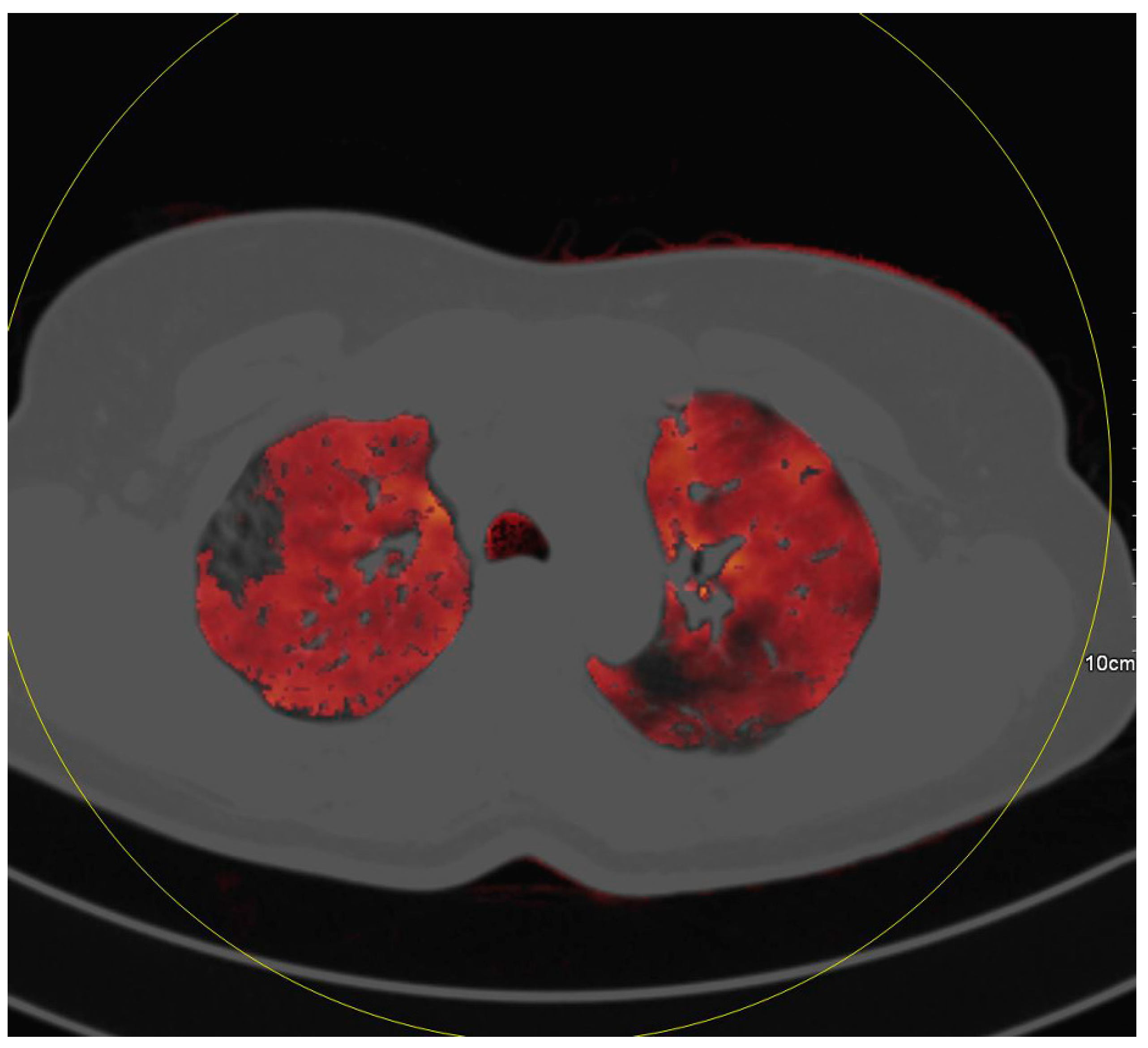 Diagnostics 10 00870 g005